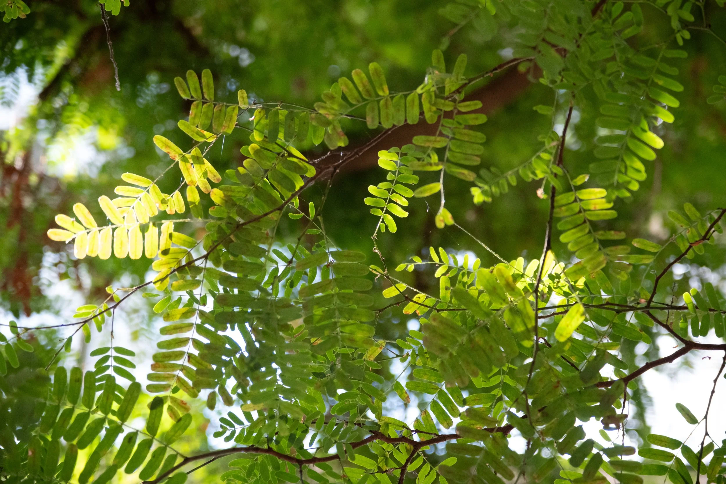 DSCF1914-2.jpg