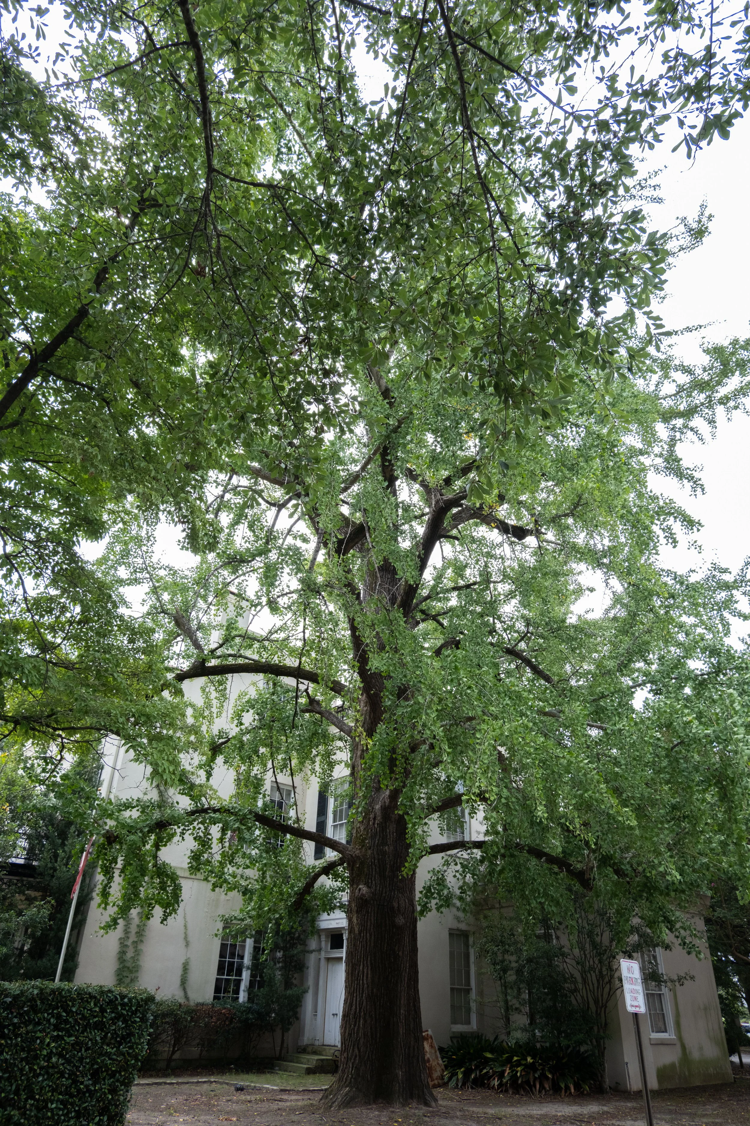 DSCF0608.jpg