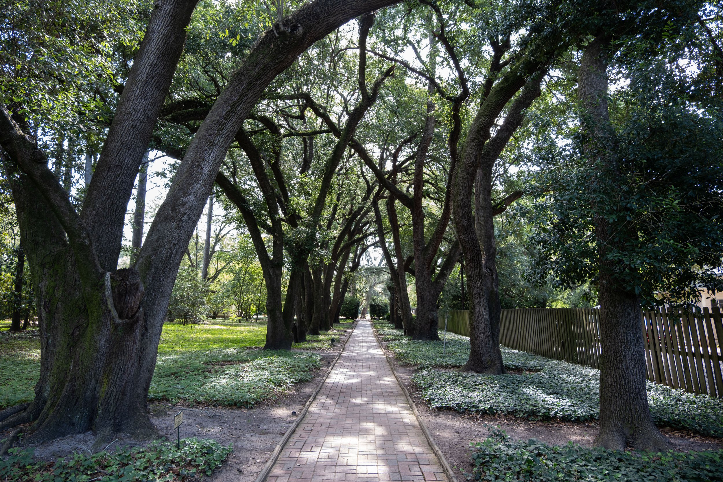 Hopelands Gardens