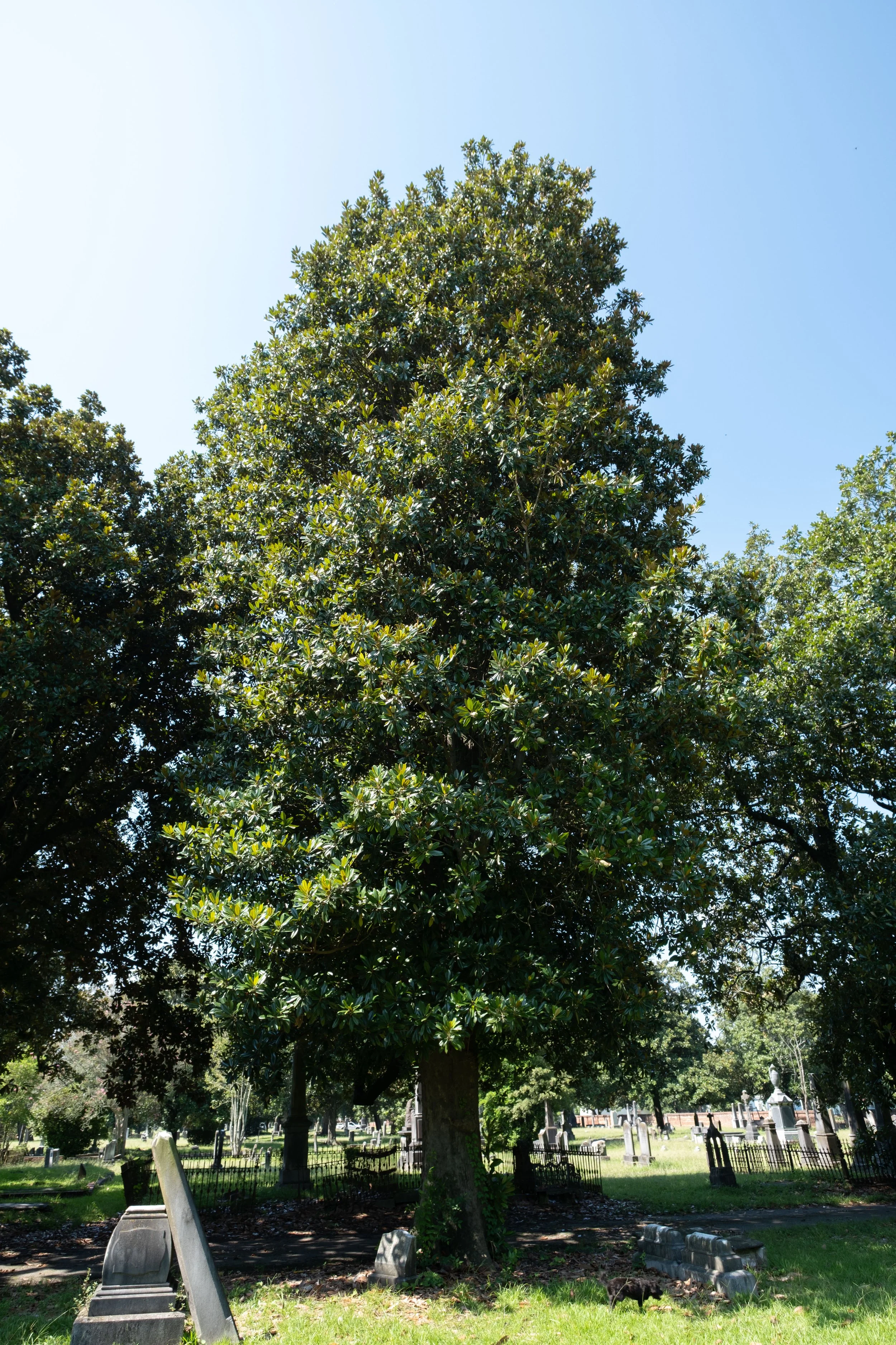 DSCF1543.jpg
