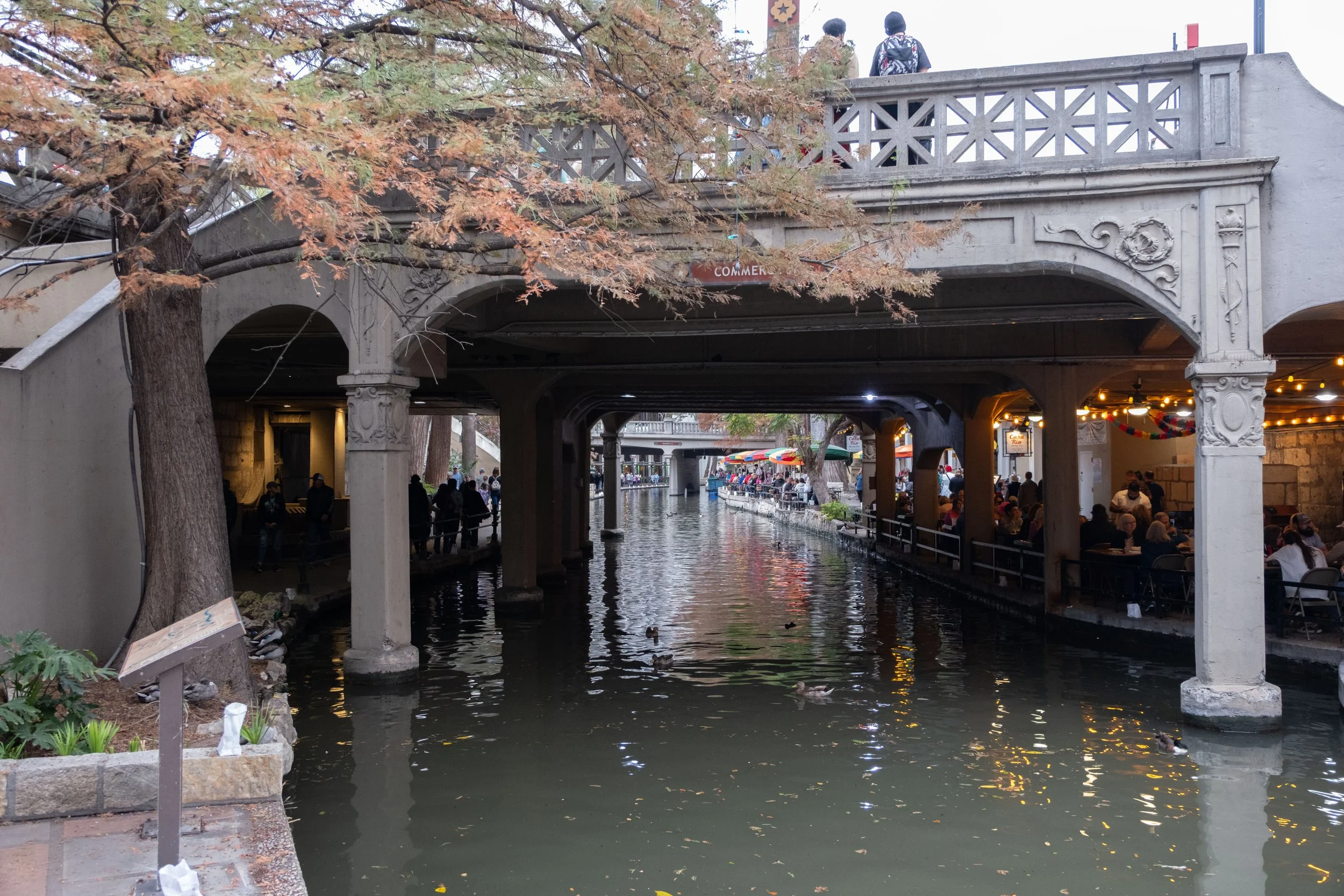 DSCF0413.jpg