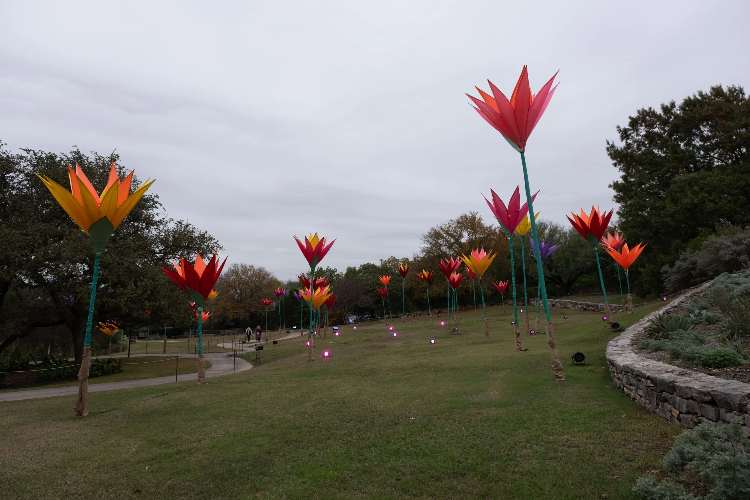 DSCF0211.jpg