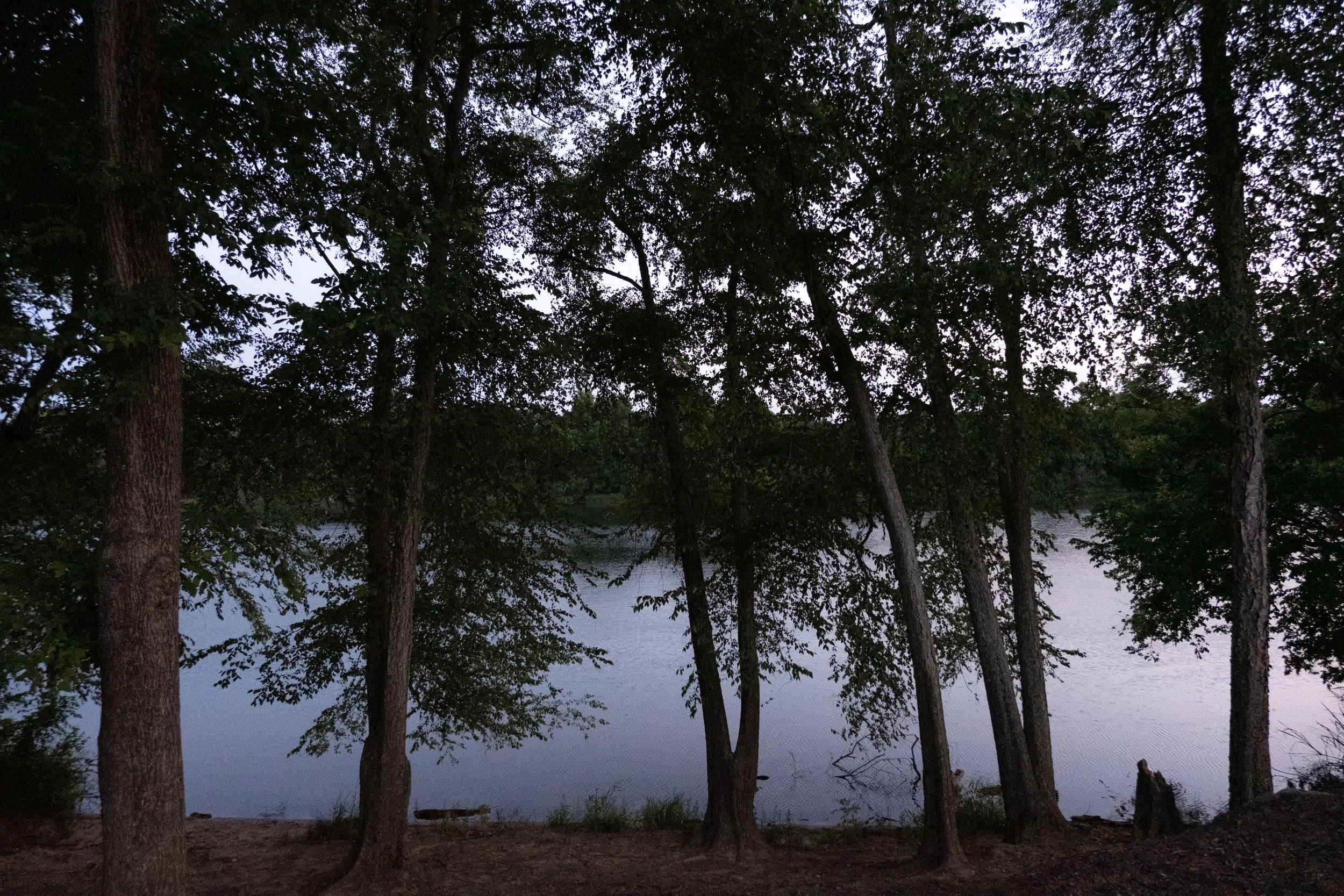 DSCF0081.jpg