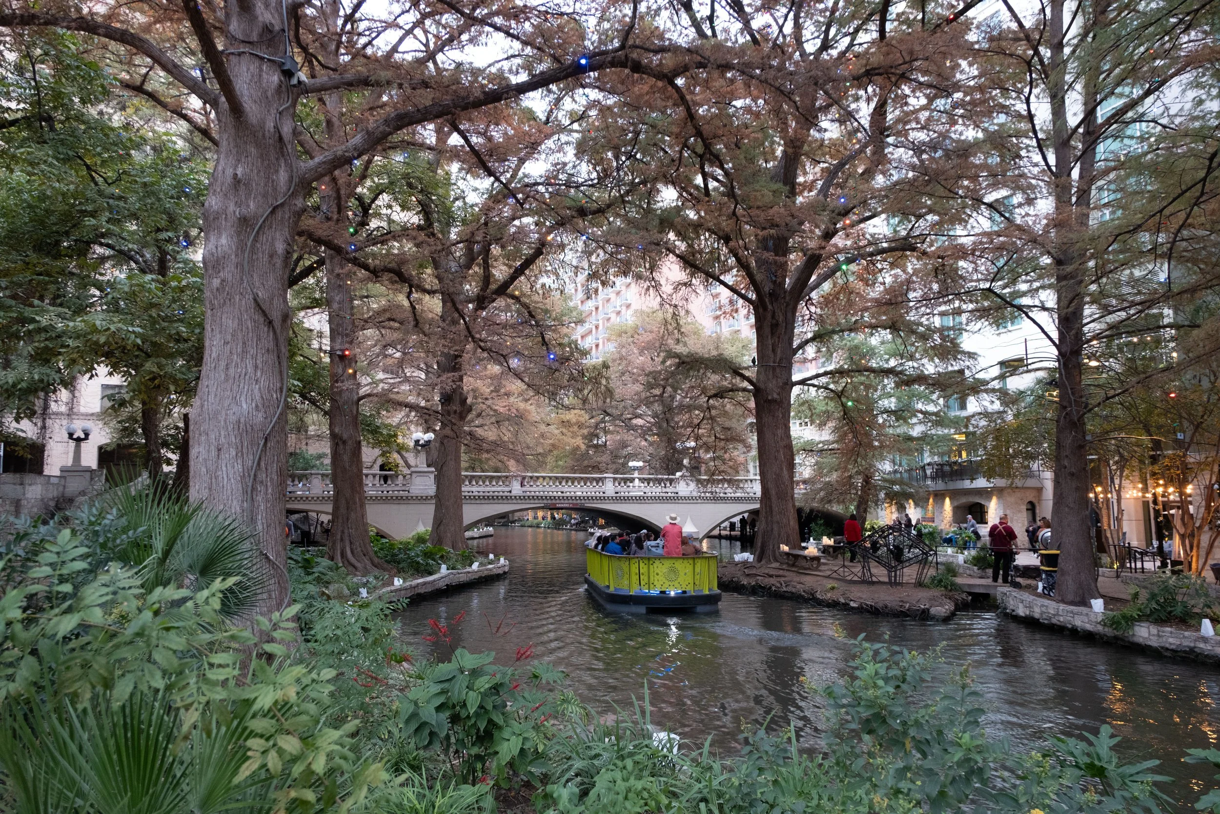 DSCF0418.jpg