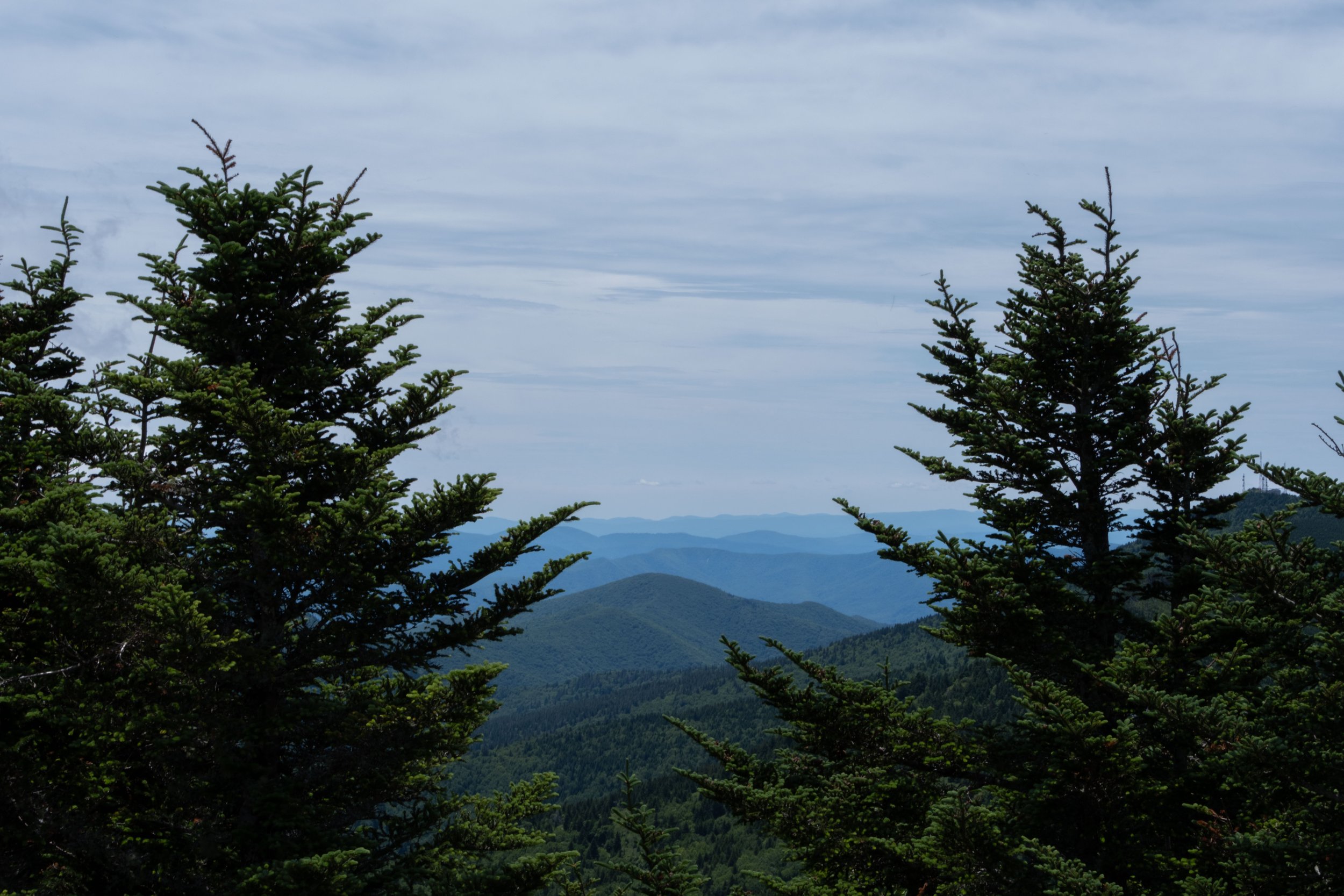 DSCF0309.jpg
