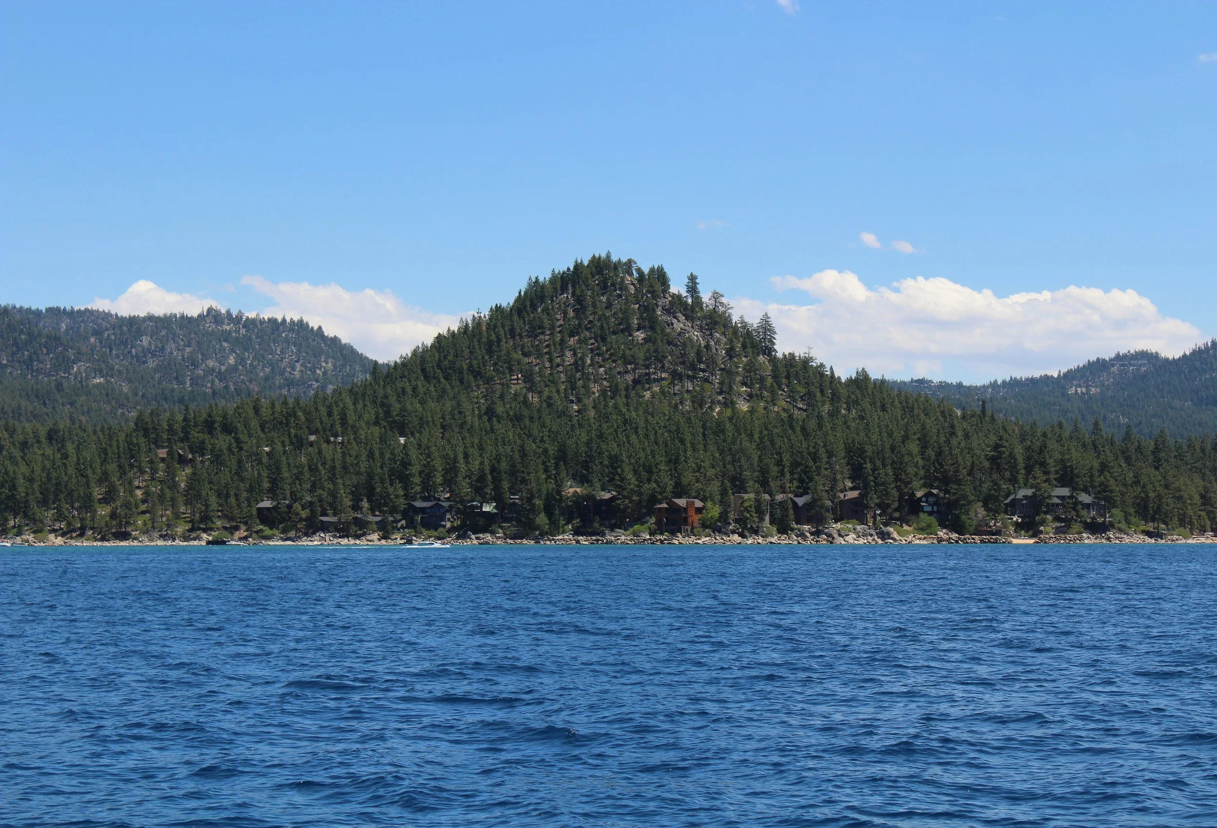 IMG_2620.jpg