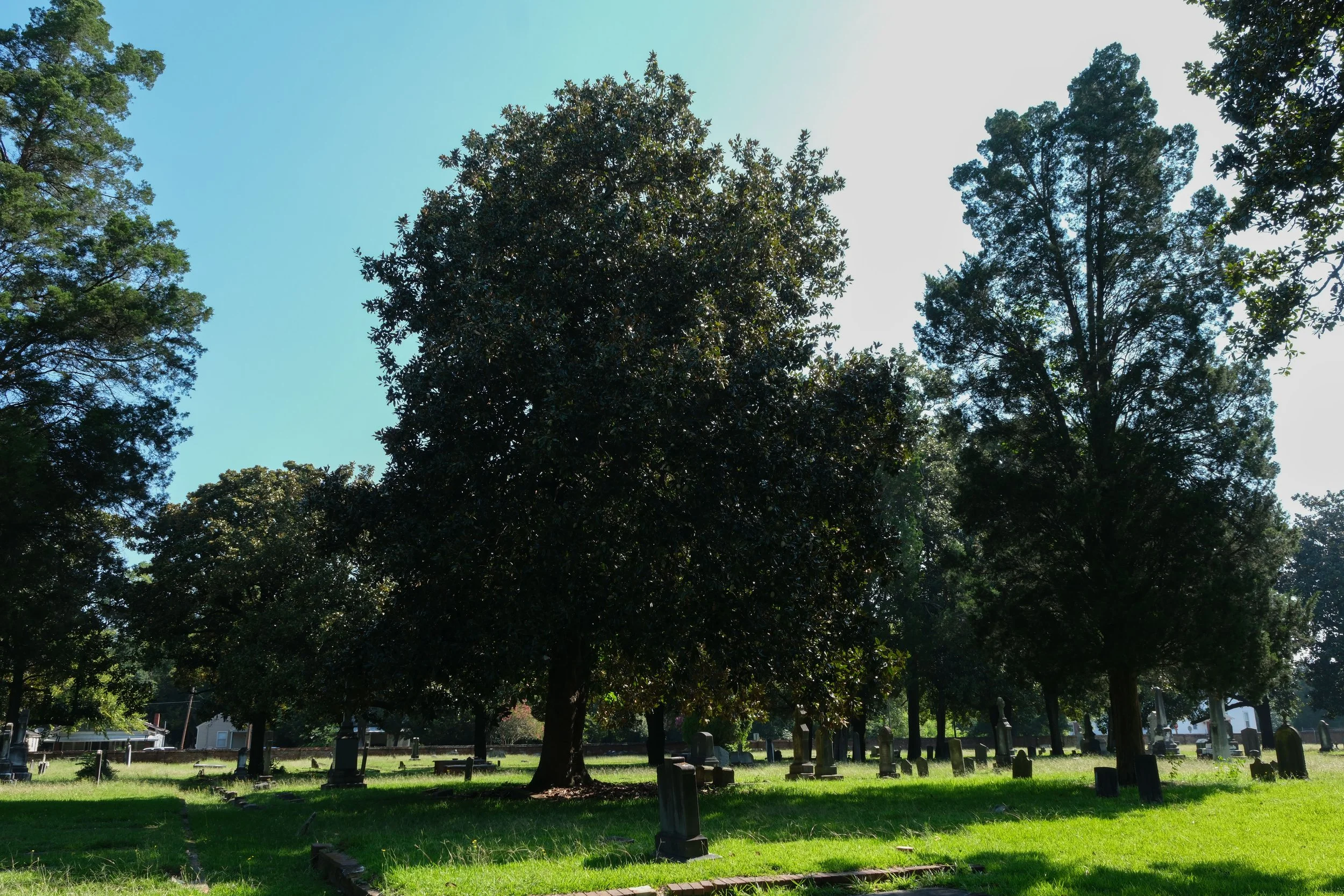 DSCF1486.jpg