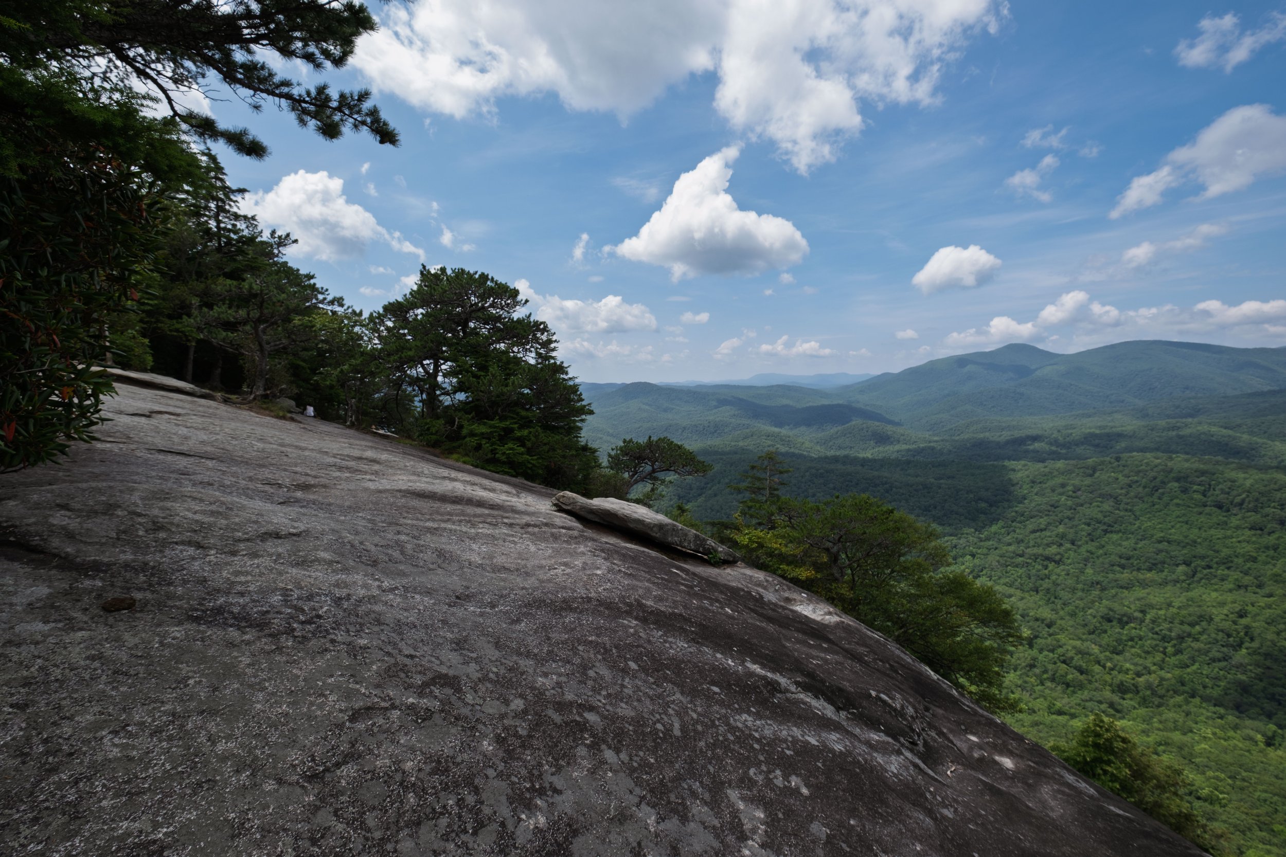 DSCF1630.jpg