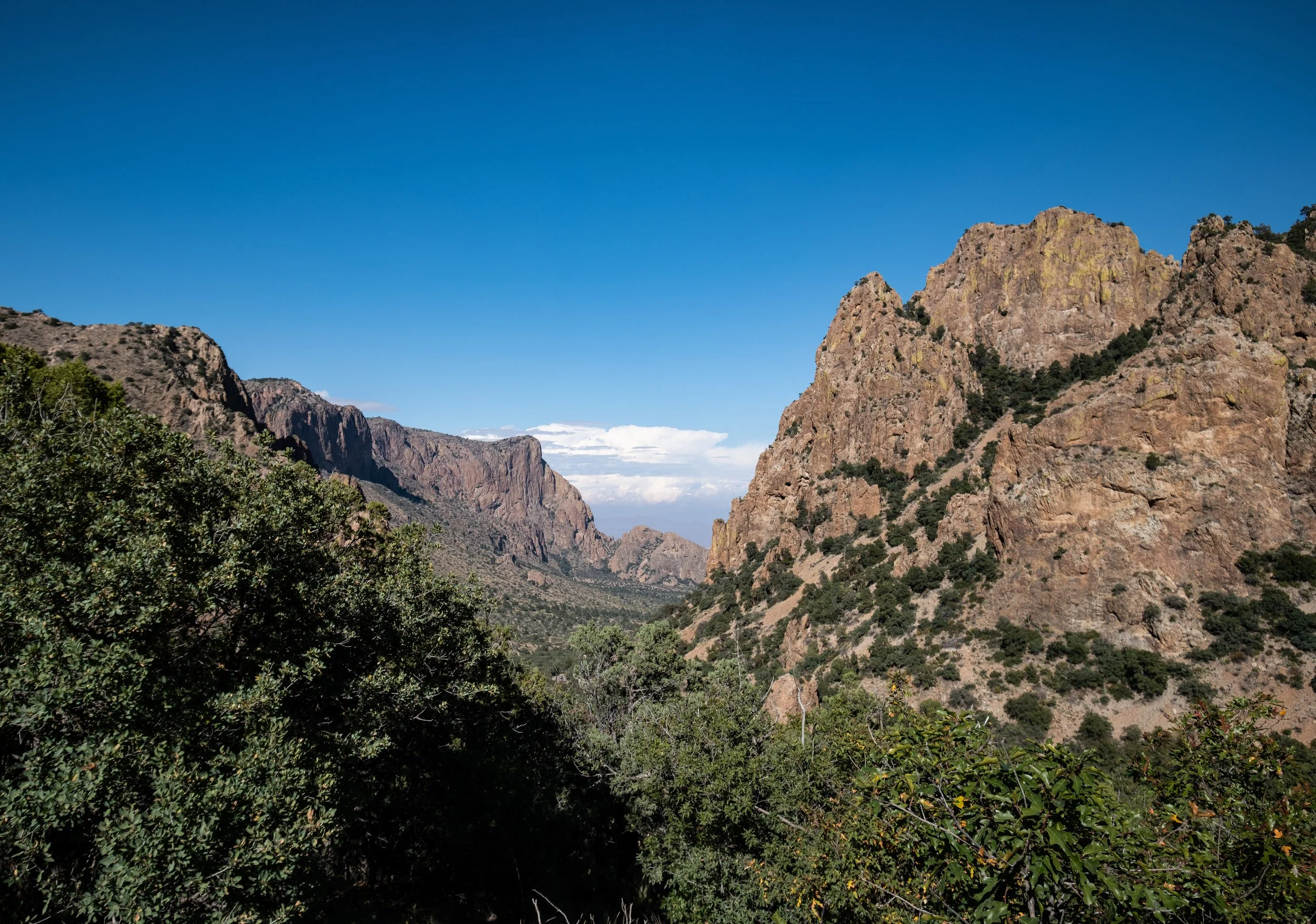 DSCF0450-2.jpg