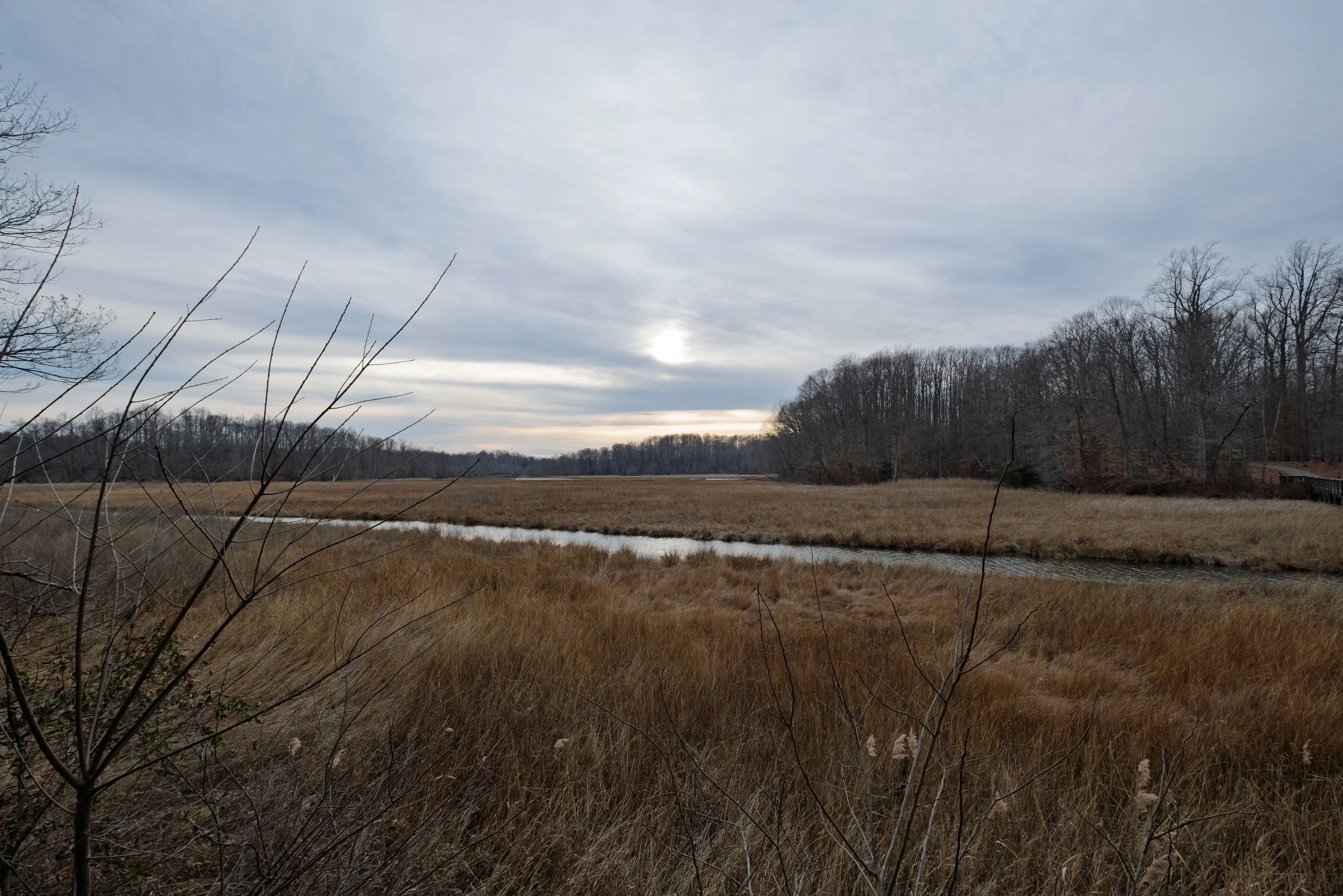 DSCF1080.jpg