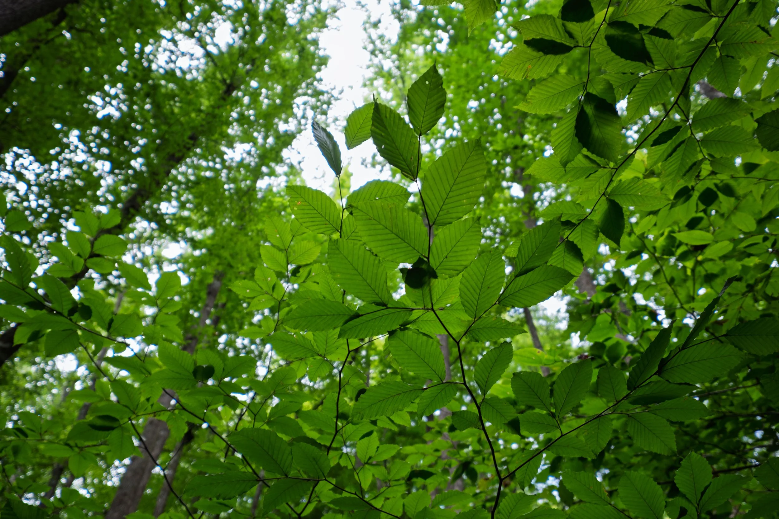 DSCF1587.jpg