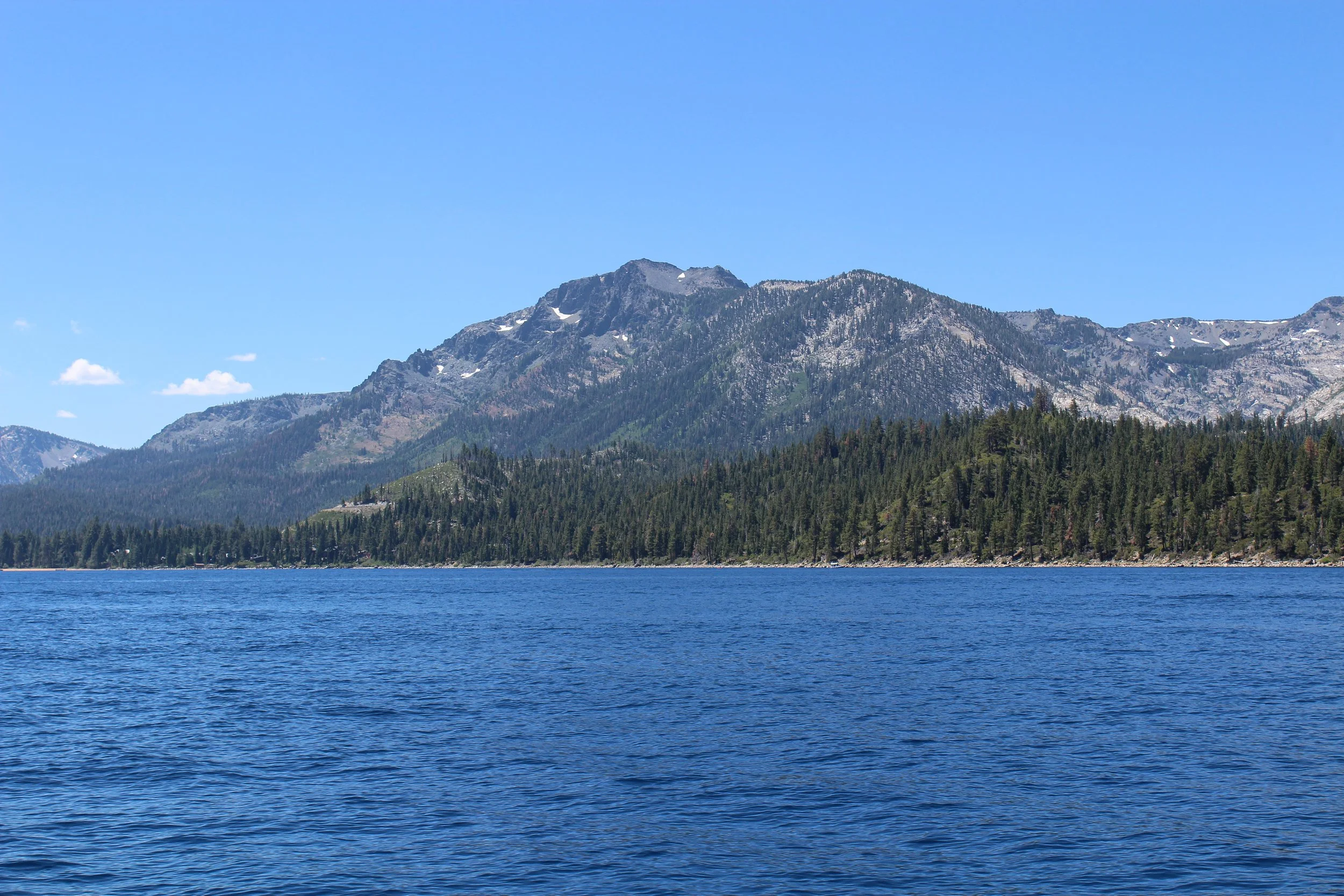 IMG_2524.jpg