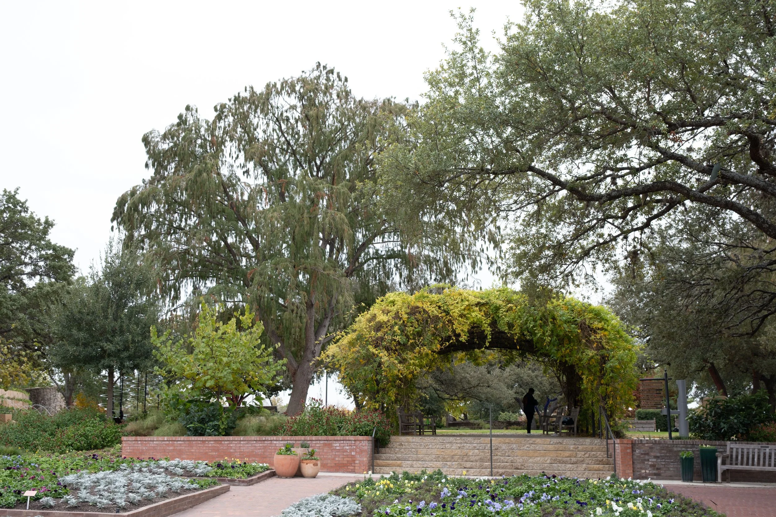 DSCF0341.jpg