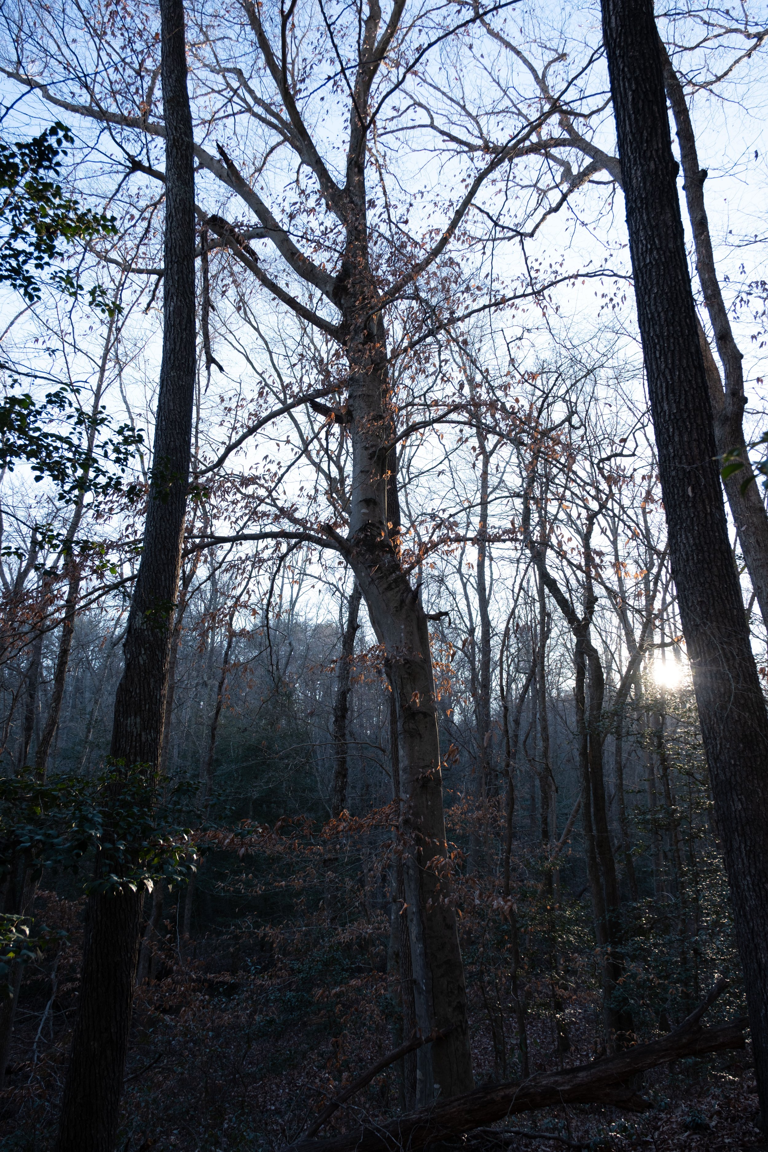 DSCF0902.jpg