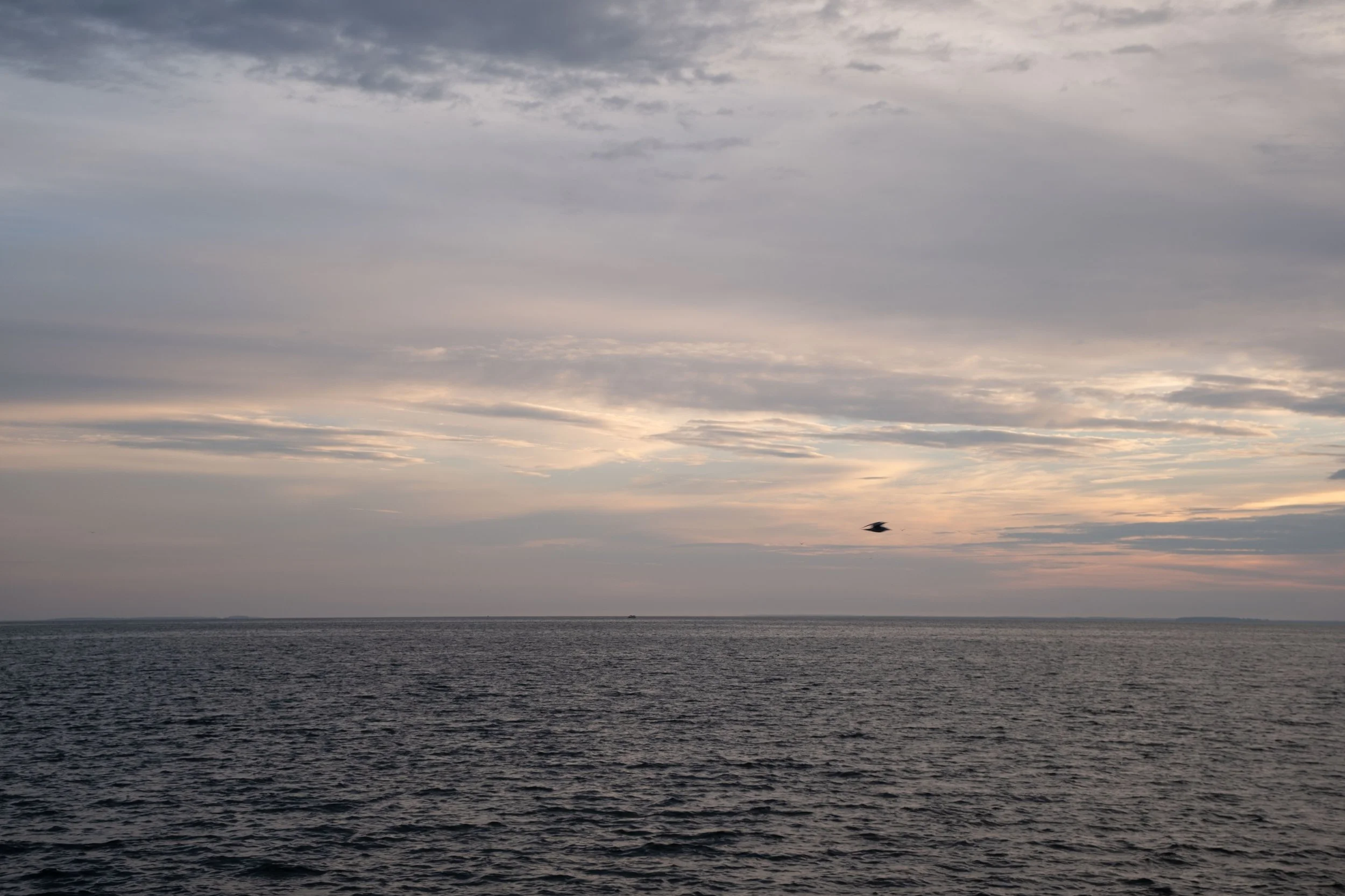 DSCF2411.jpg