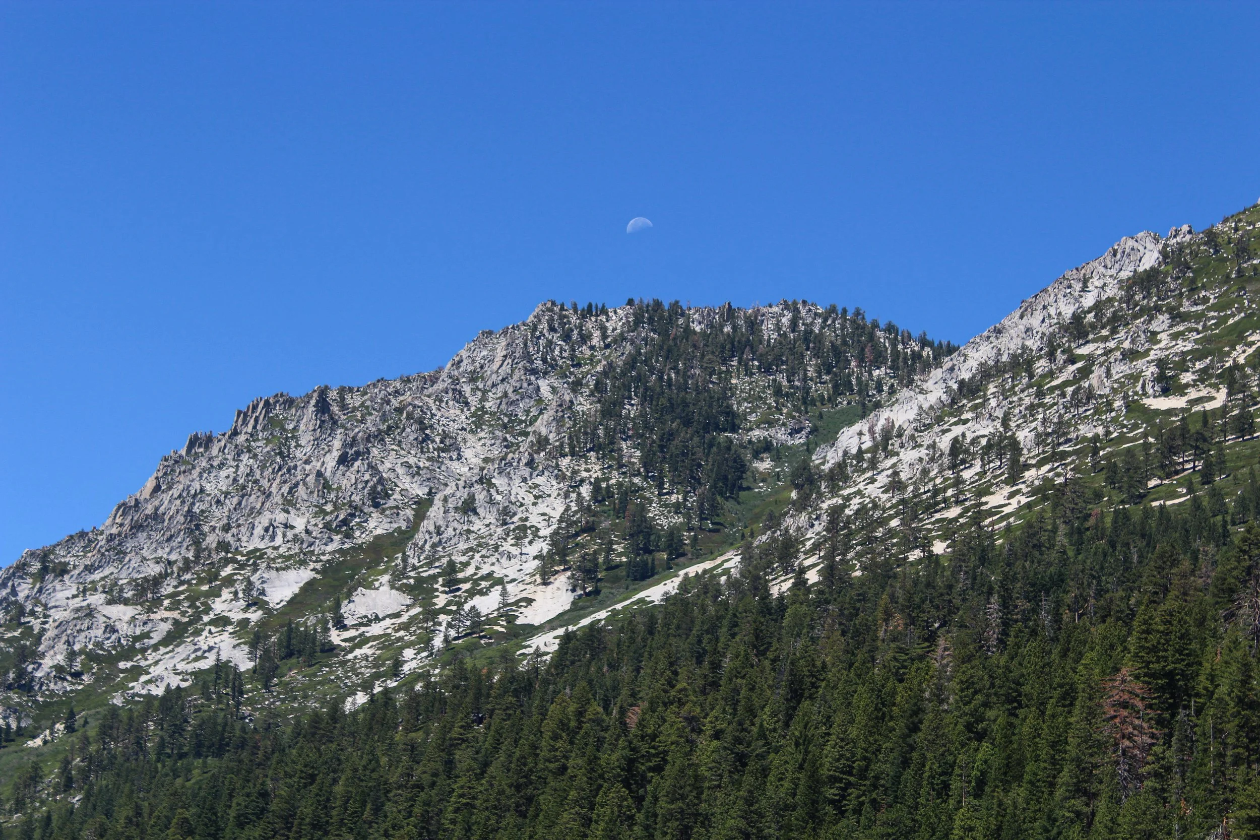 IMG_2555-2.jpg
