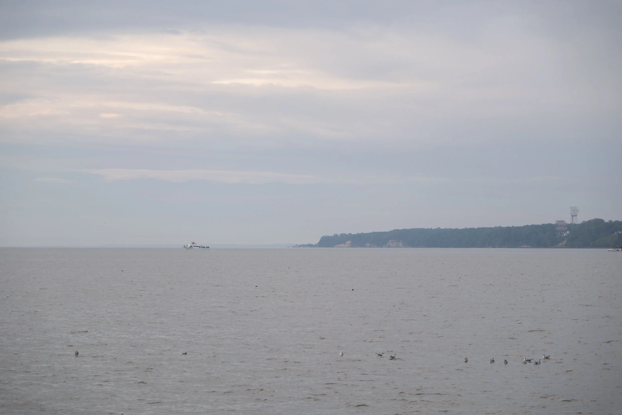 DSCF2414.jpg
