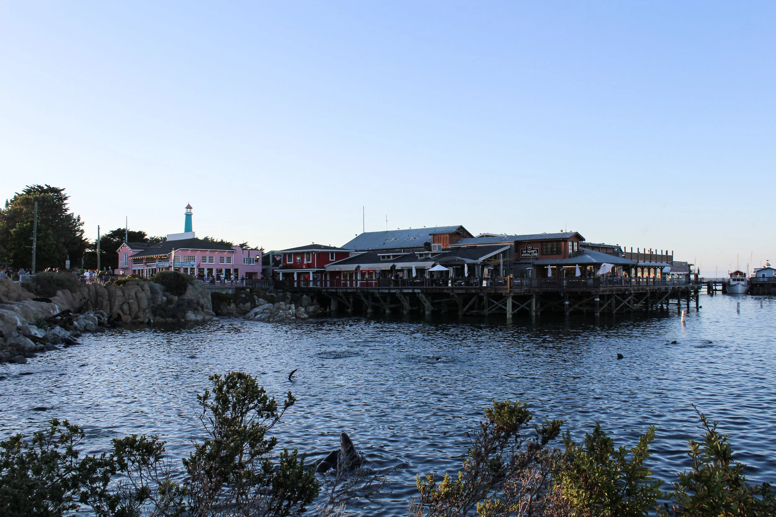 IMG_2886.jpg