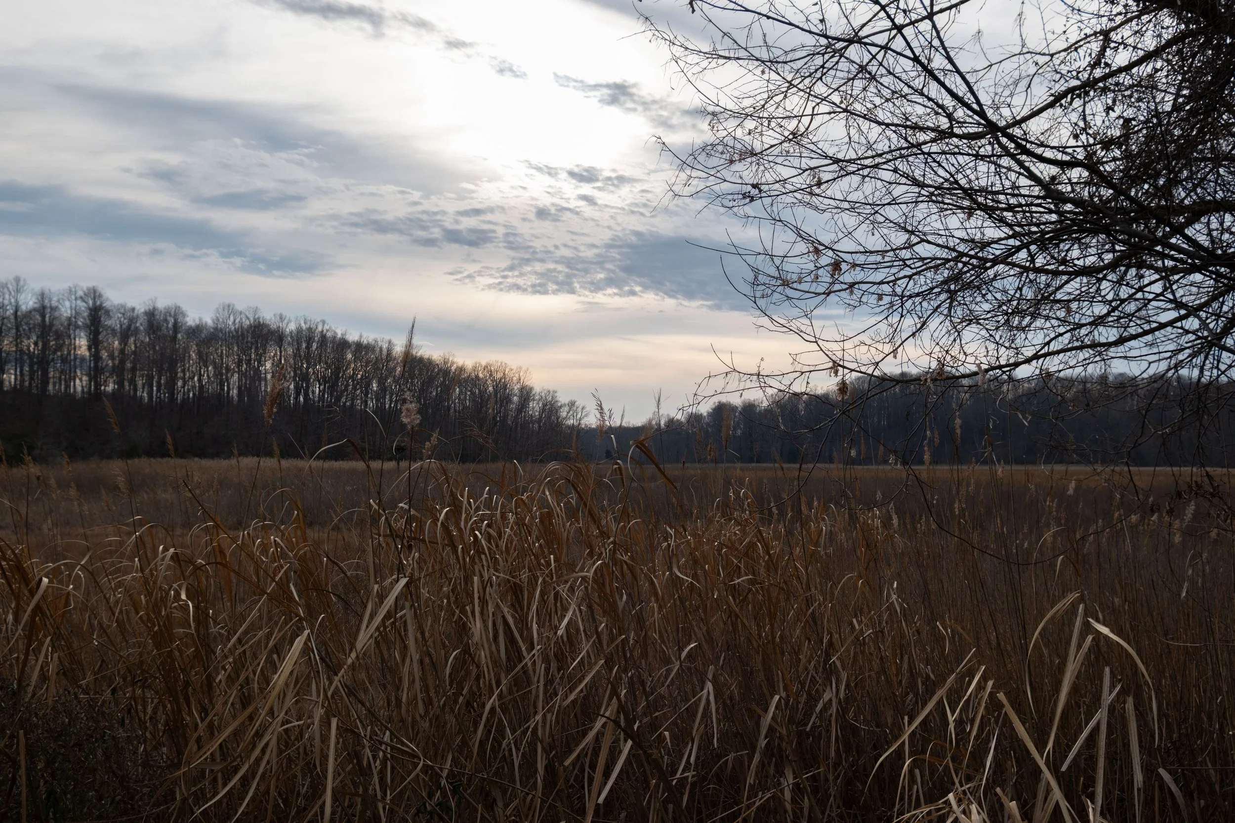 DSCF1056.jpg