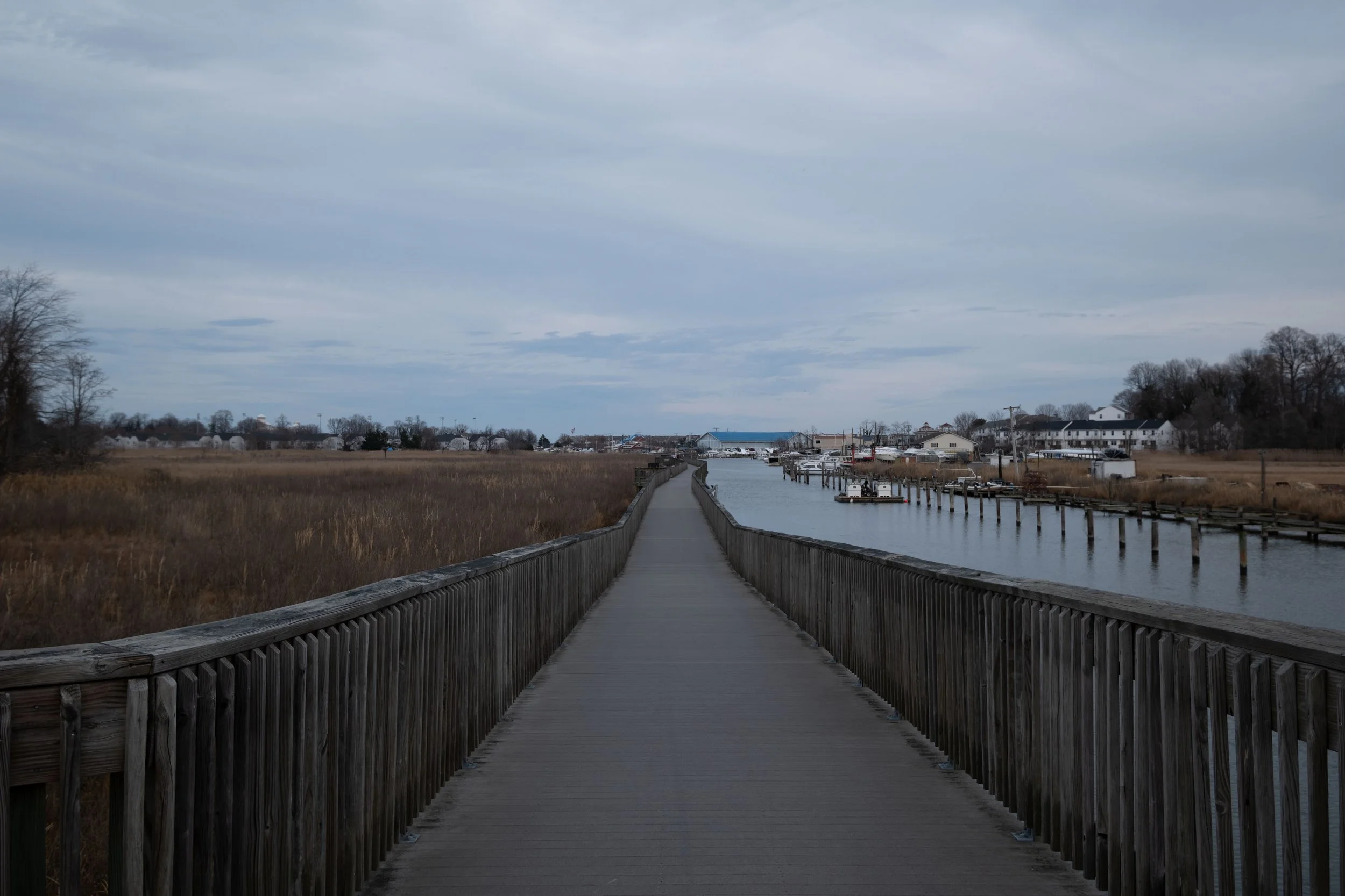 DSCF1077.jpg