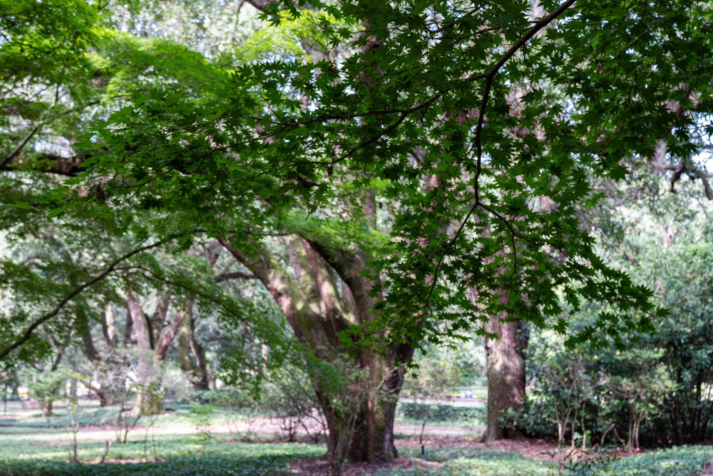 DSCF0425.jpg