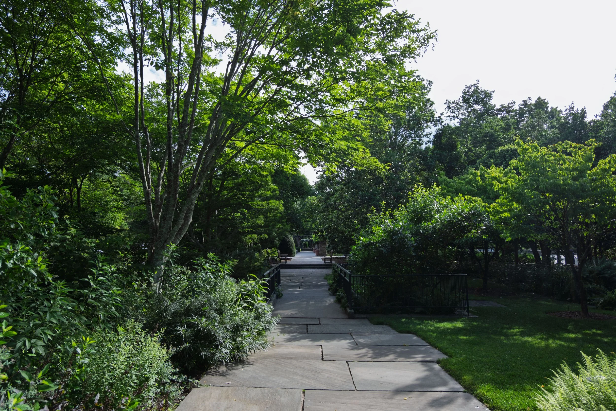 DSCF0173.jpg