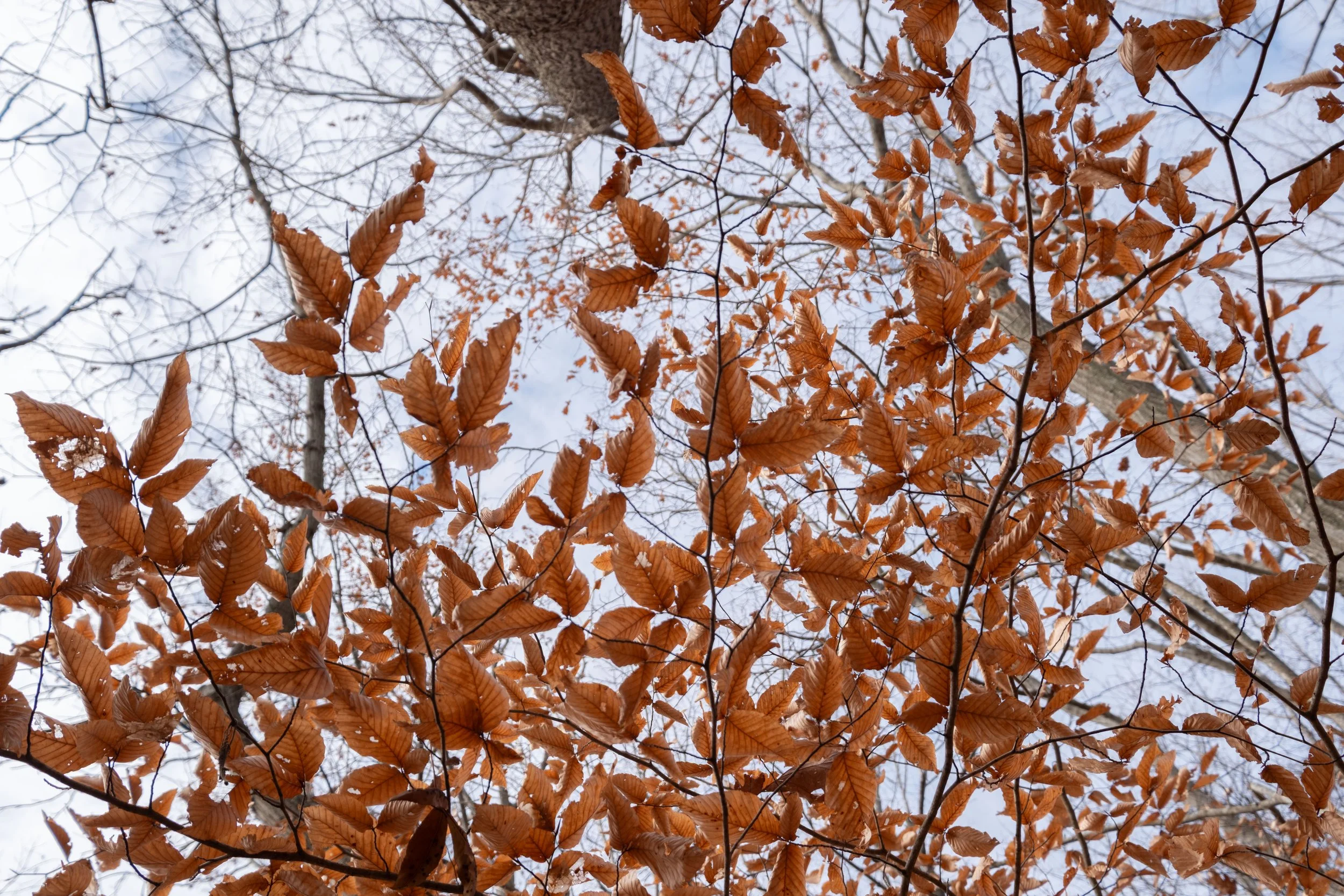 DSCF1757.jpg