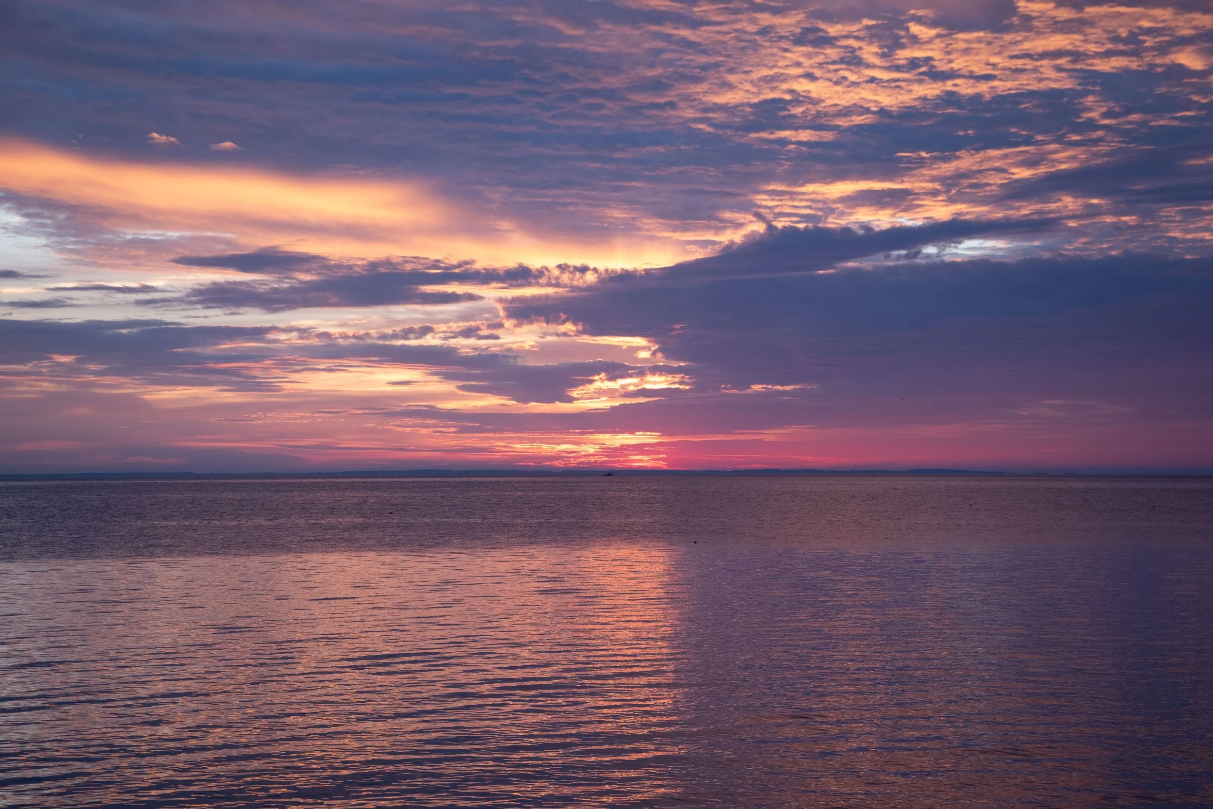DSCF2392.jpg