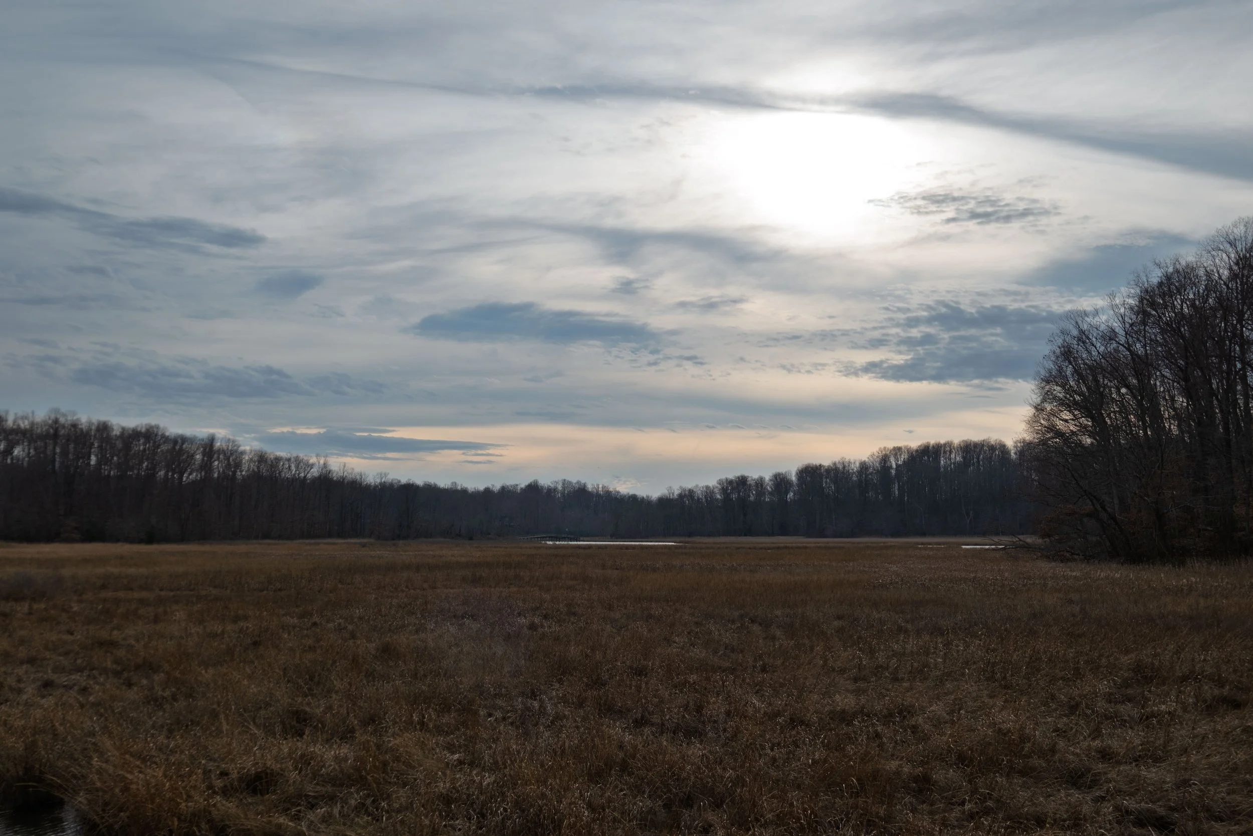 DSCF1054.jpg