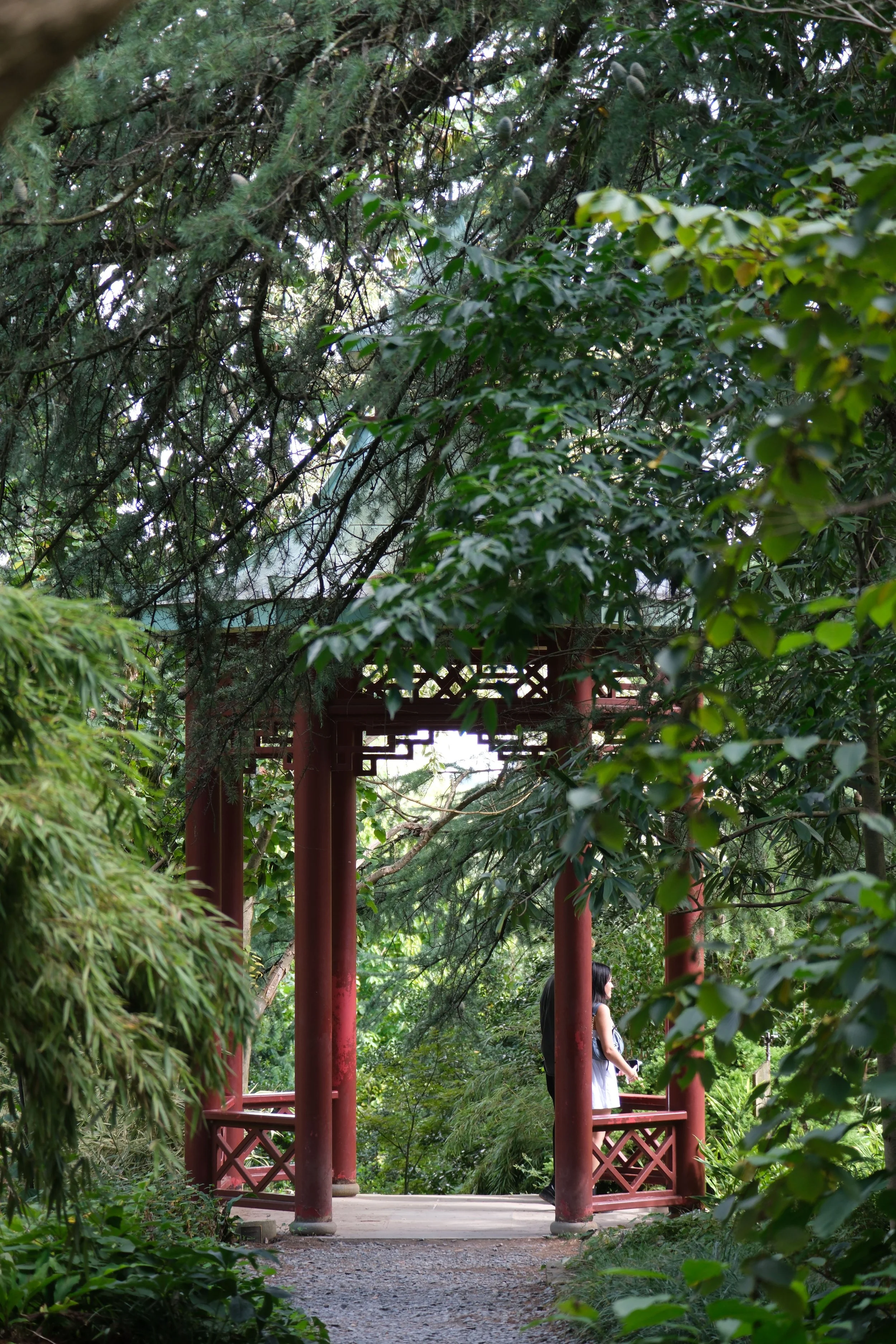 DSCF2209.jpg
