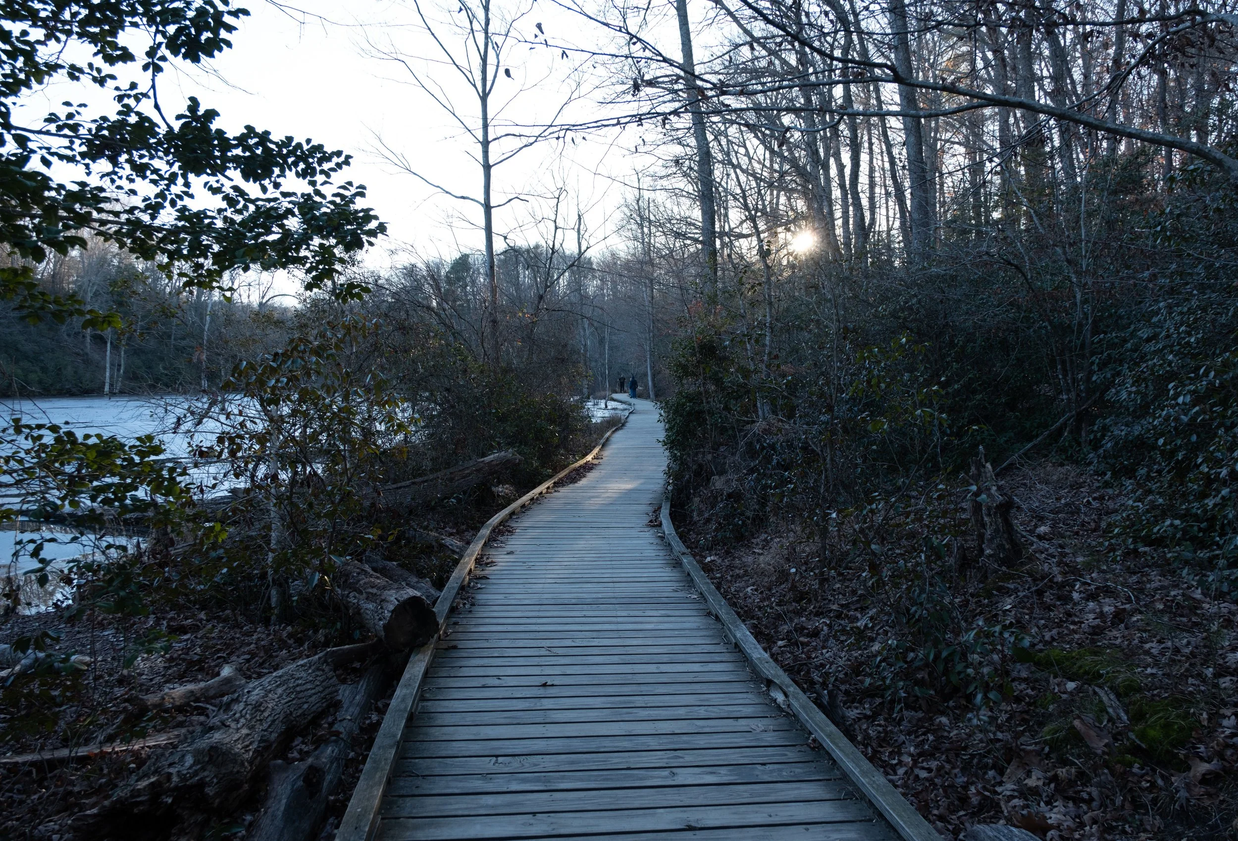 DSCF0914.jpg