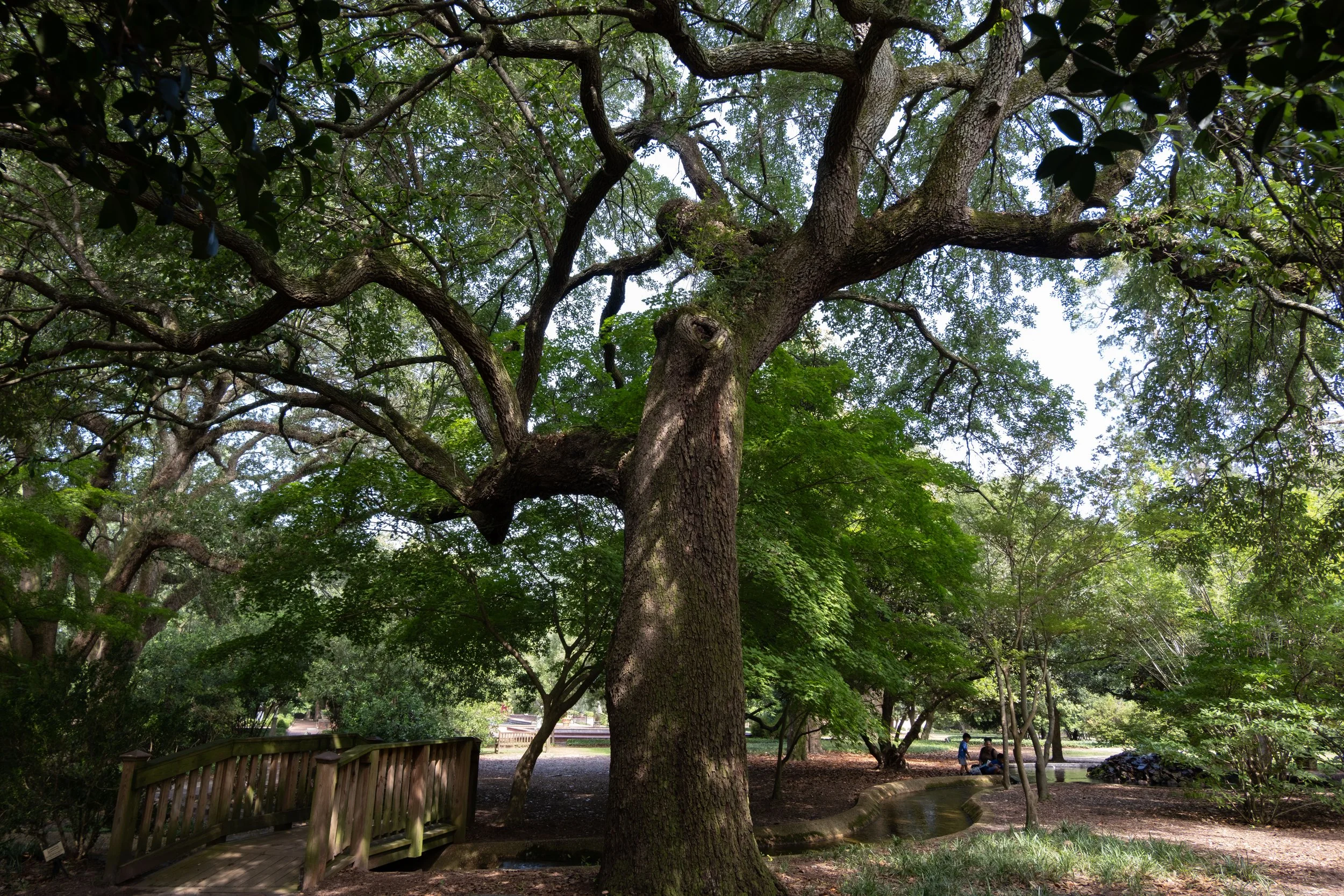 DSCF0426.jpg