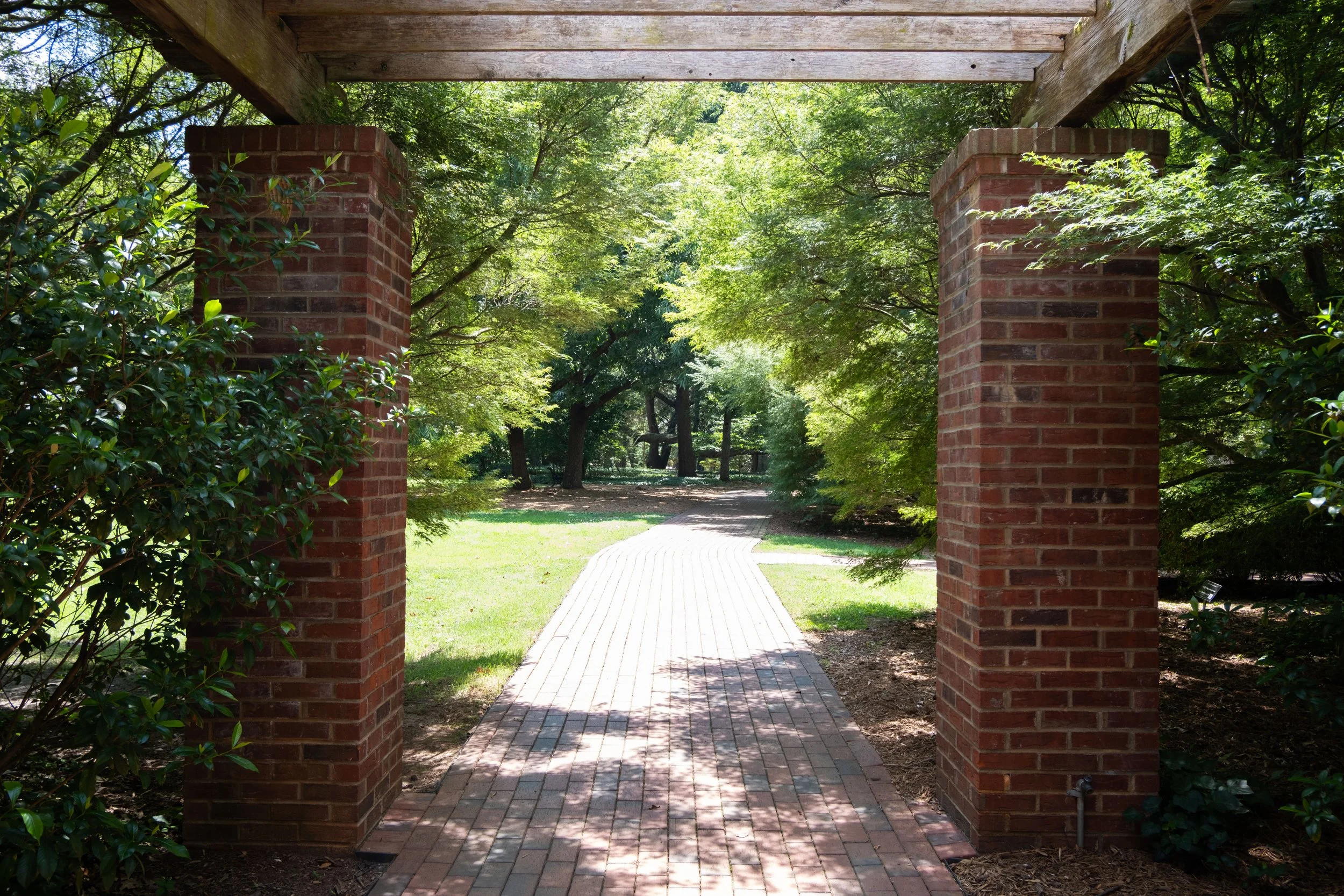 DSCF0542.jpg