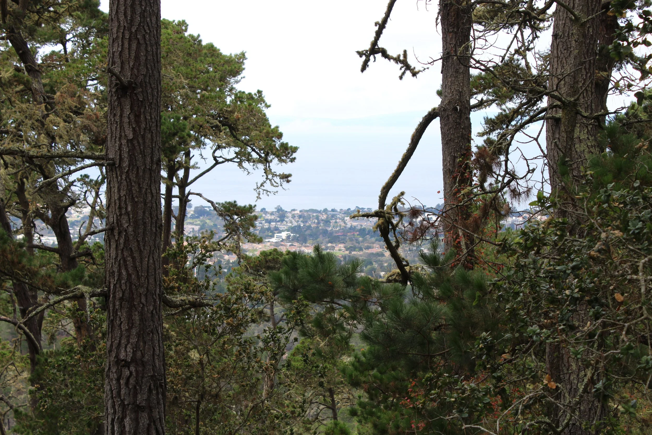IMG_2628.JPG