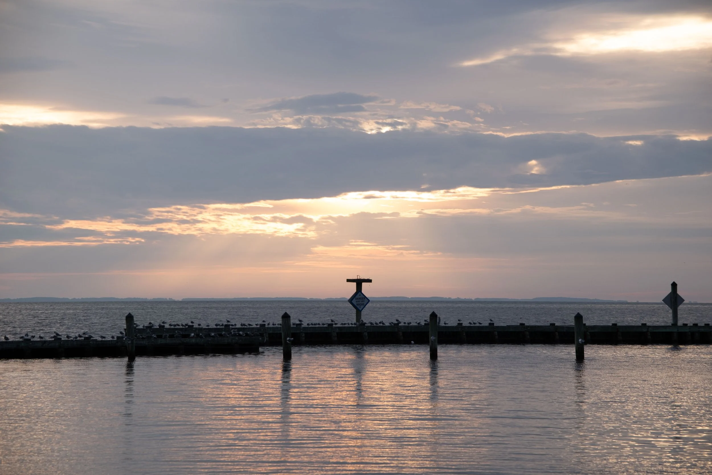 DSCF2418.jpg