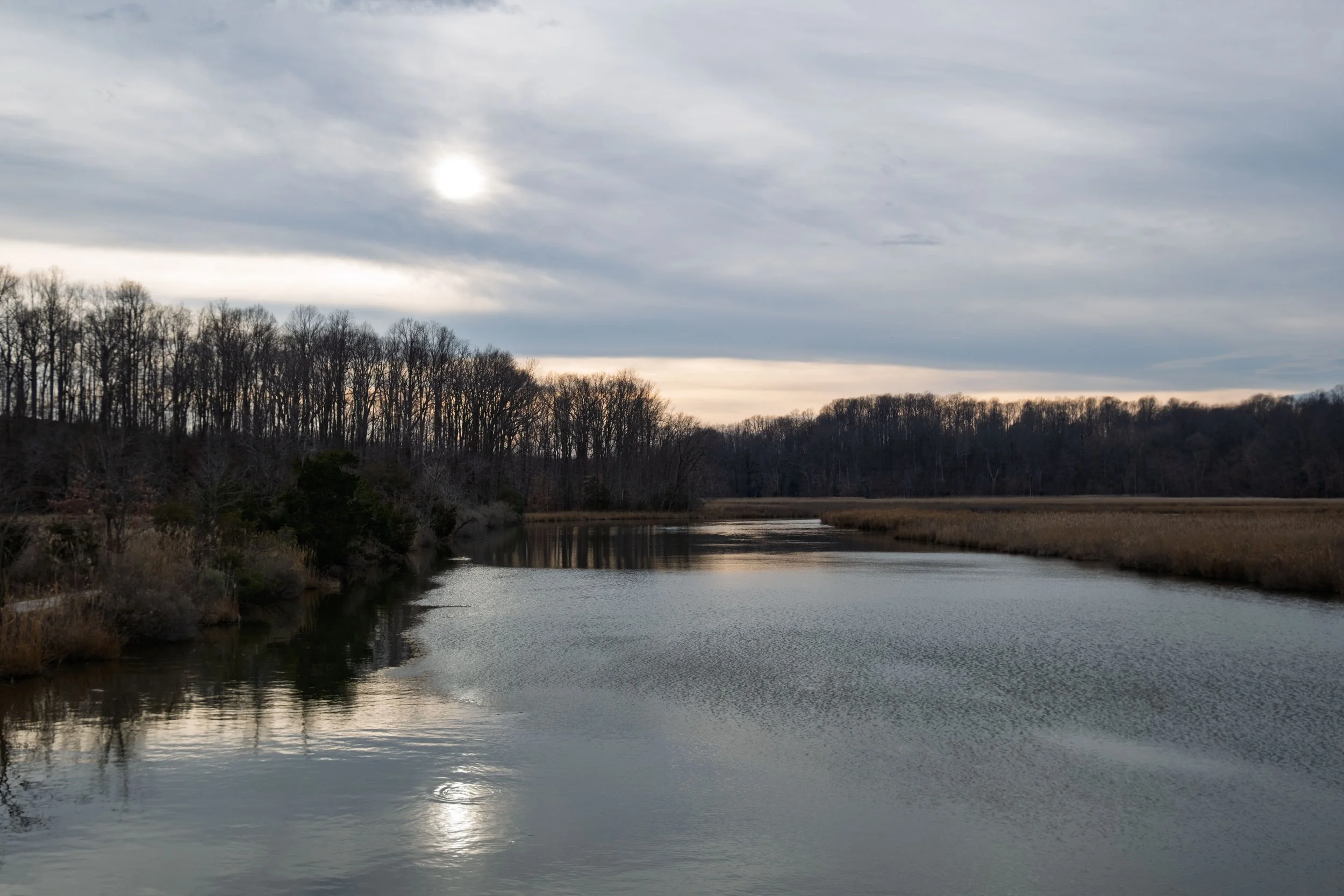 DSCF1075.jpg