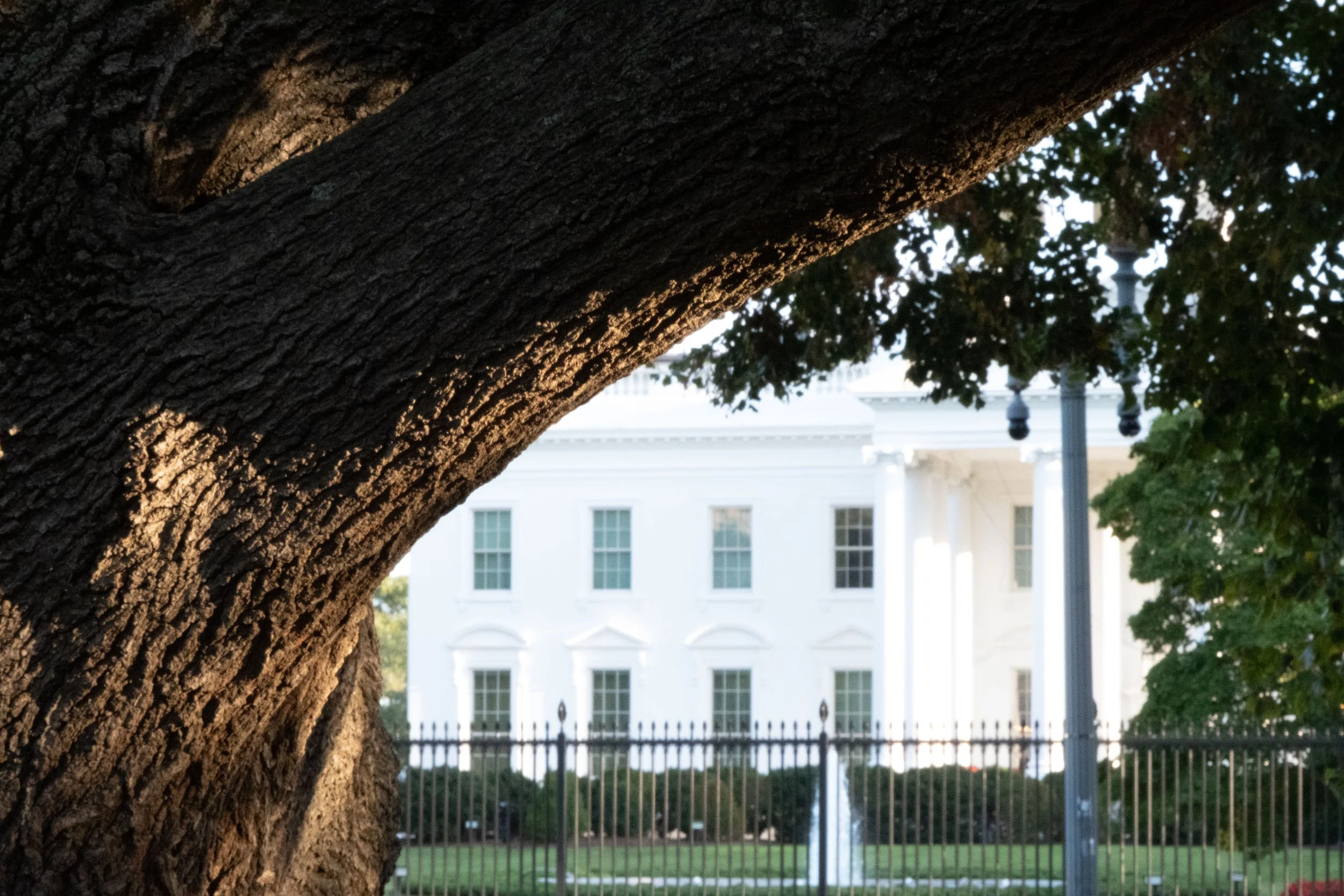 The White House