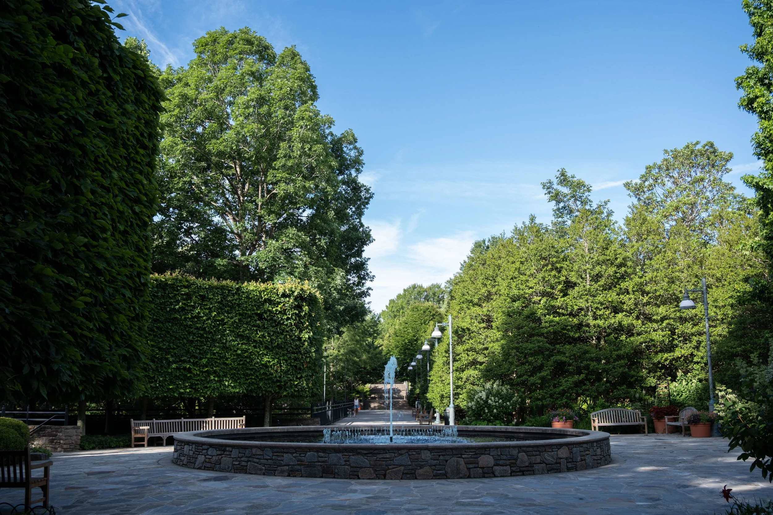 North Carolina Arboretum