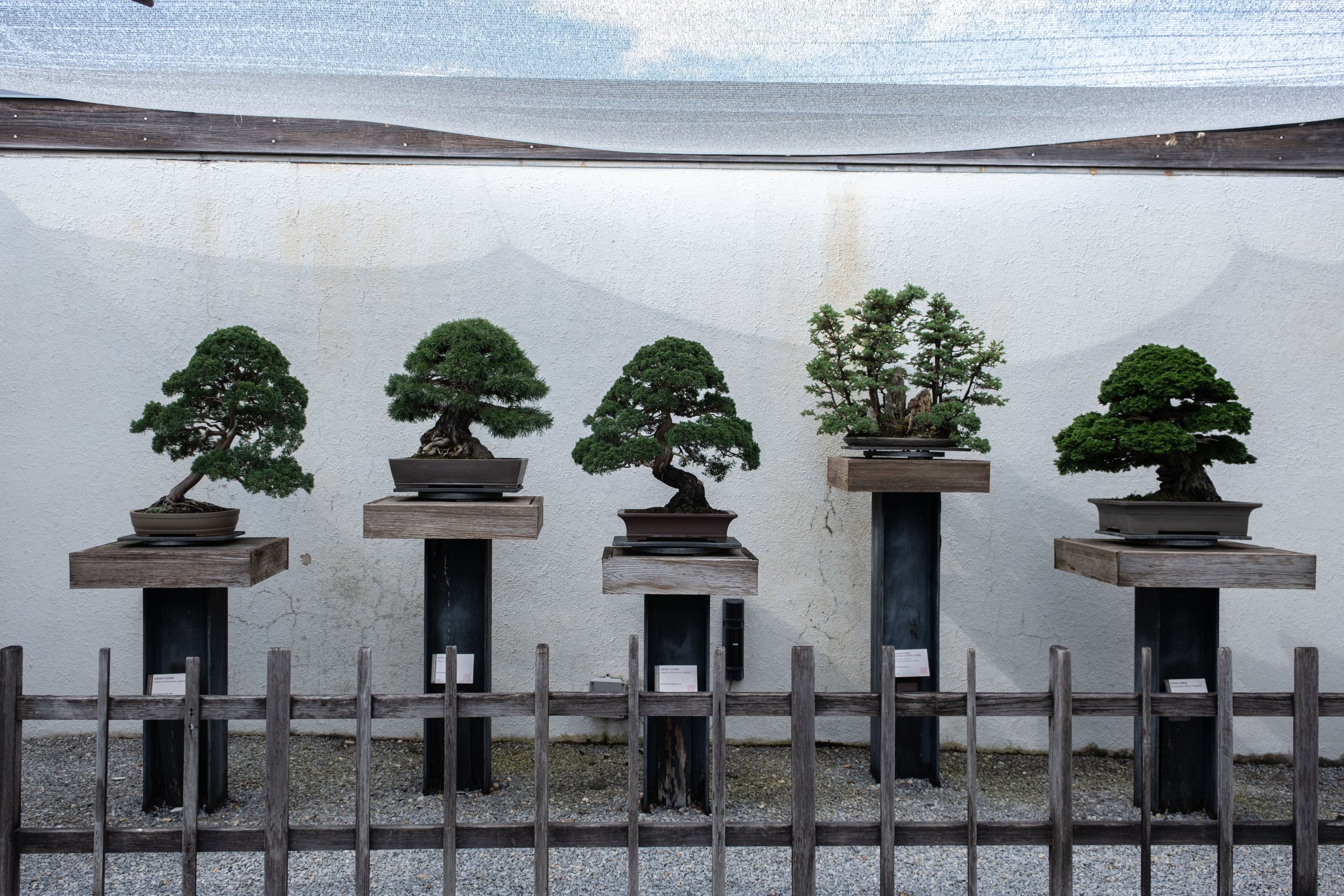 DSCF2290.jpg