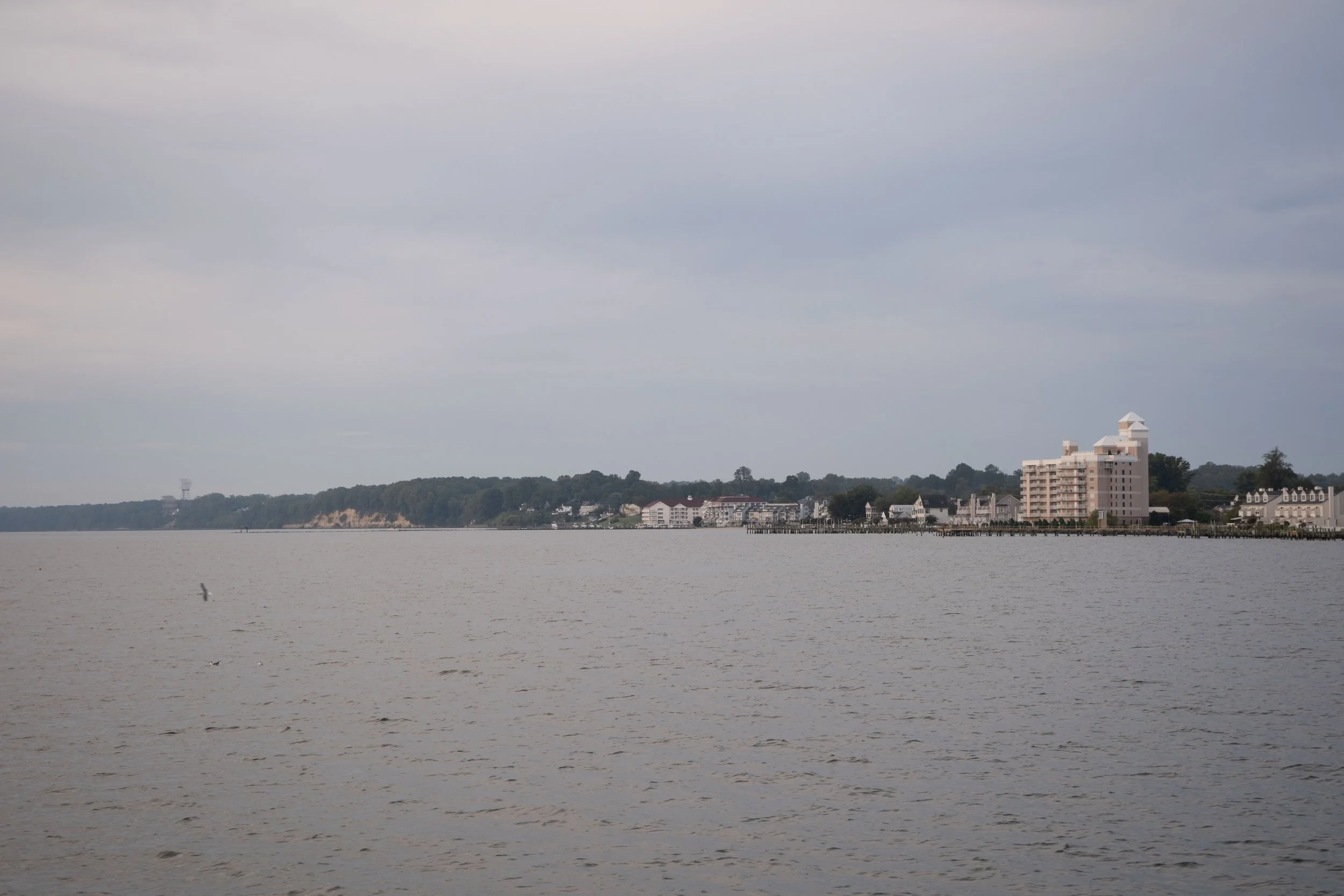 DSCF2412.jpg