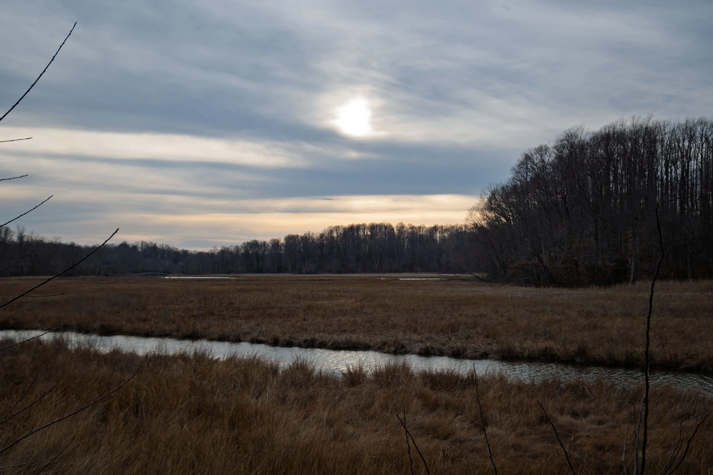 DSCF1079.jpg