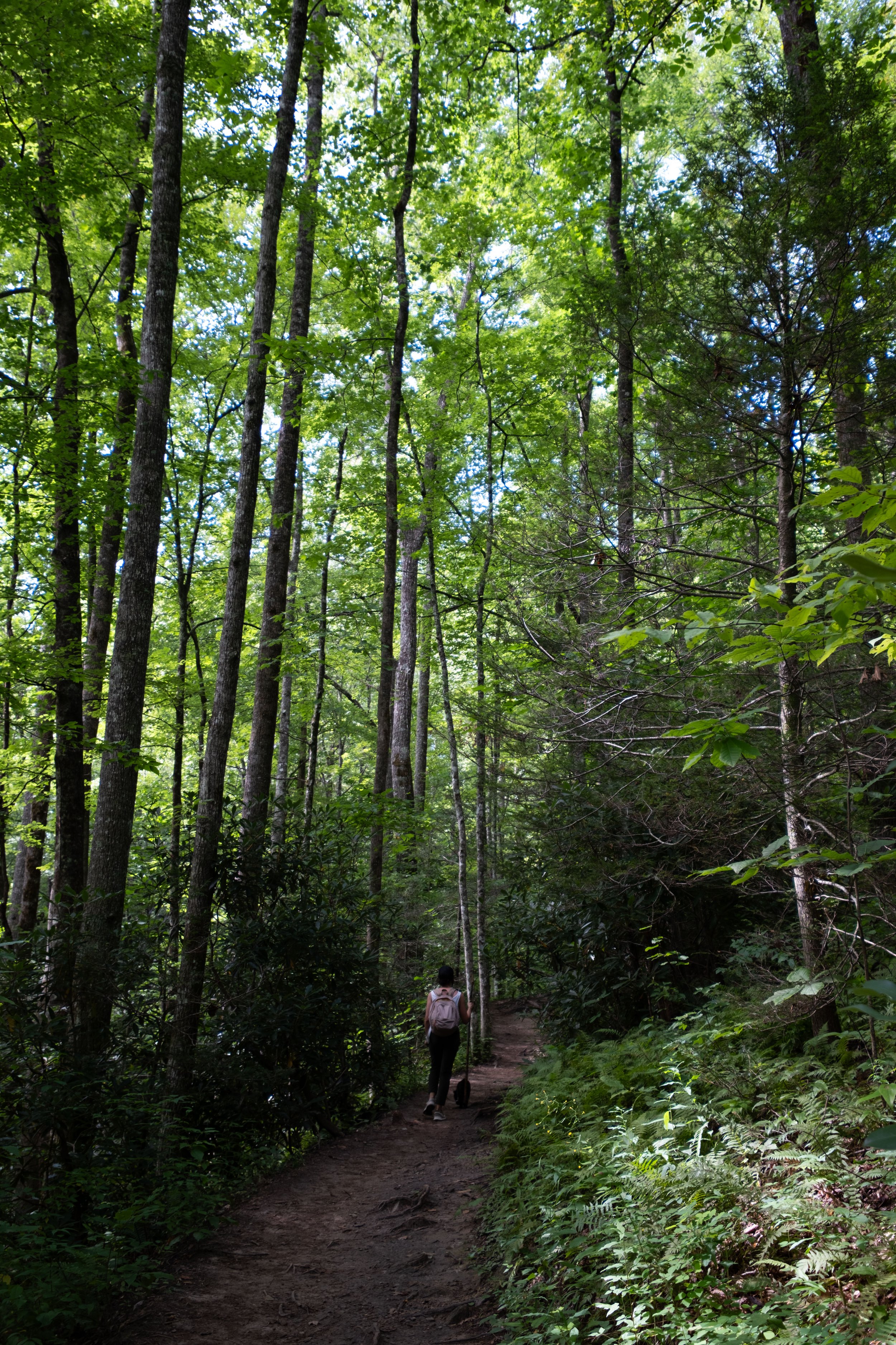 DSCF1594.jpg