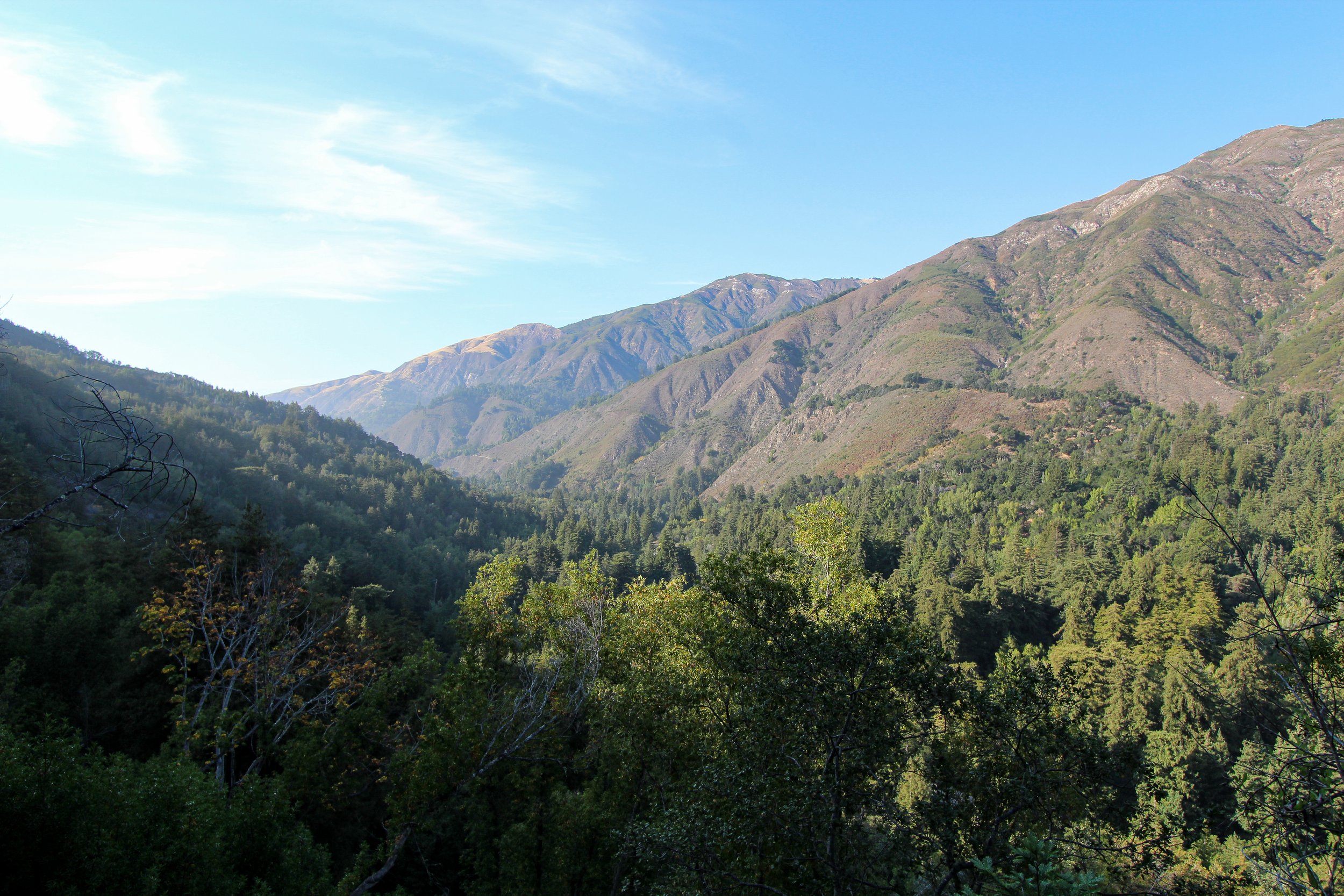 IMG_4284.jpg