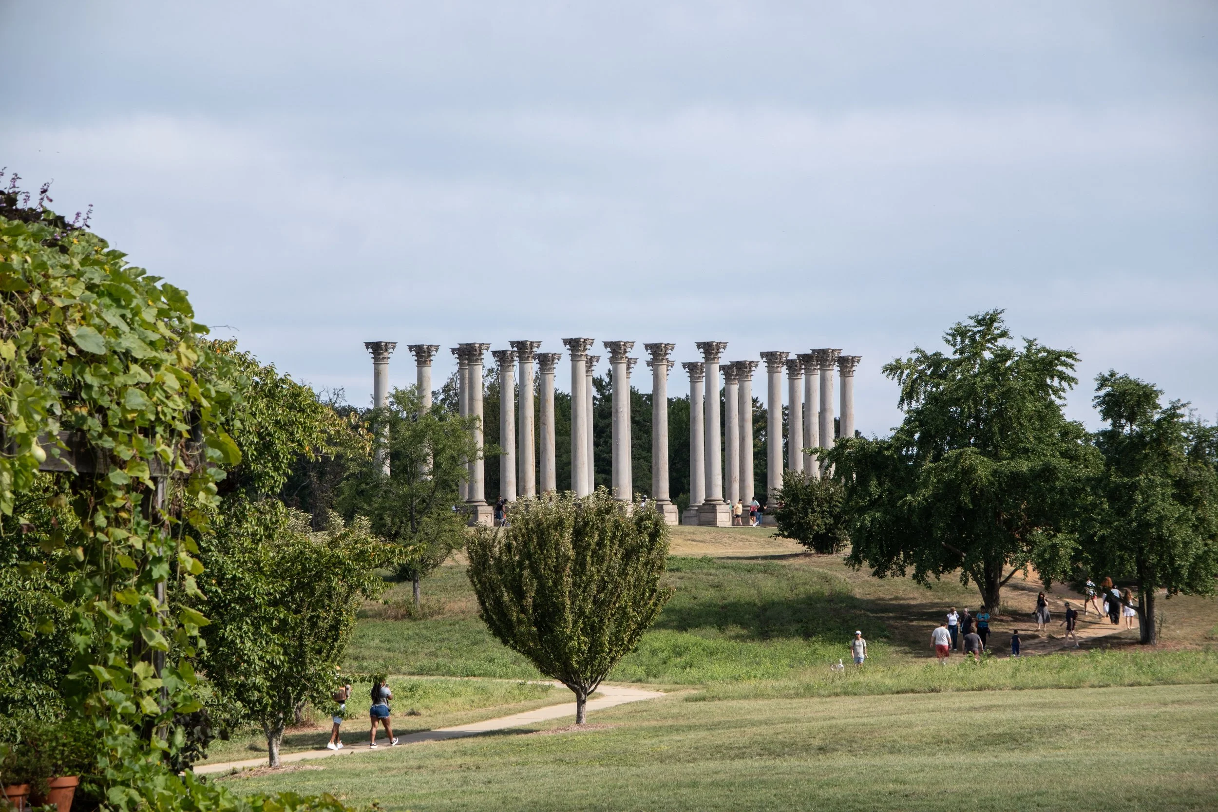 National Arboretum