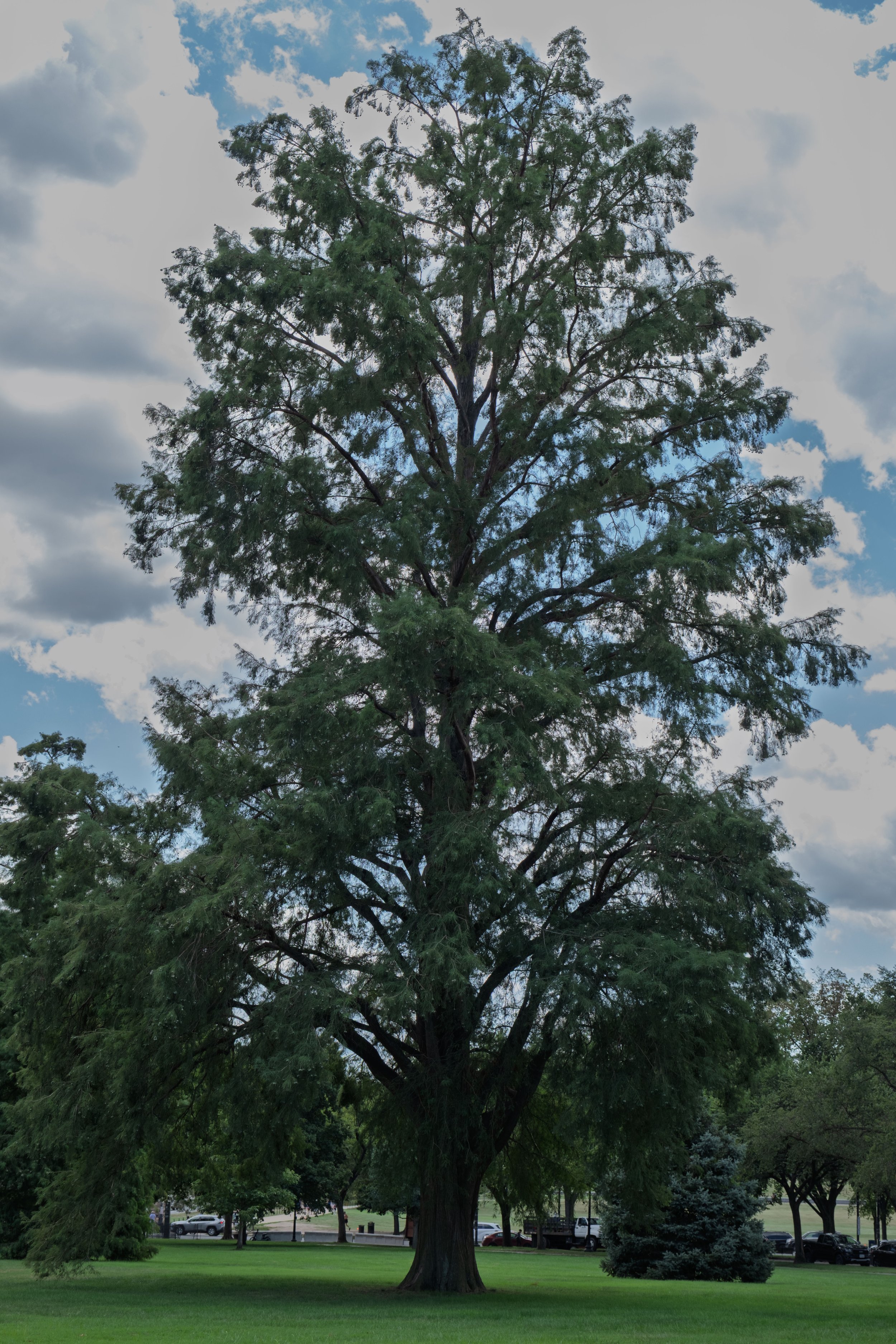 DSCF1848.jpg