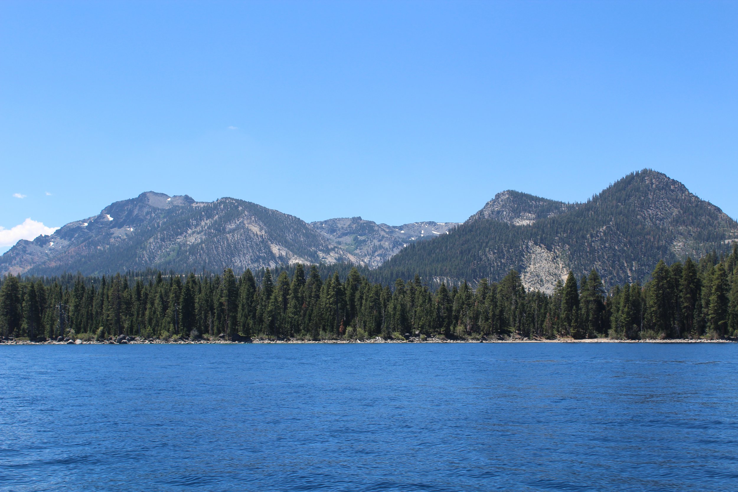 IMG_2604.jpg