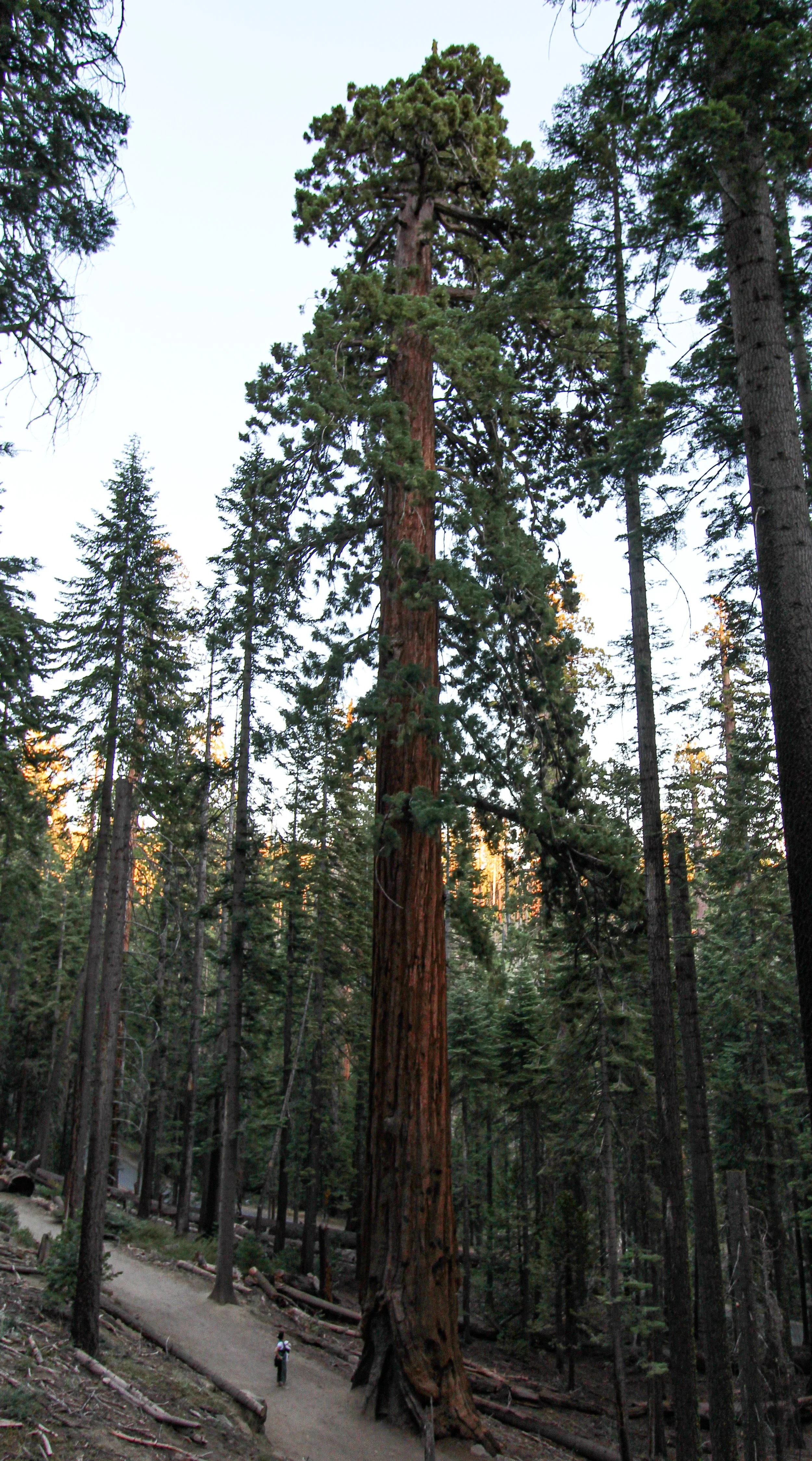 IMG_3359.jpg