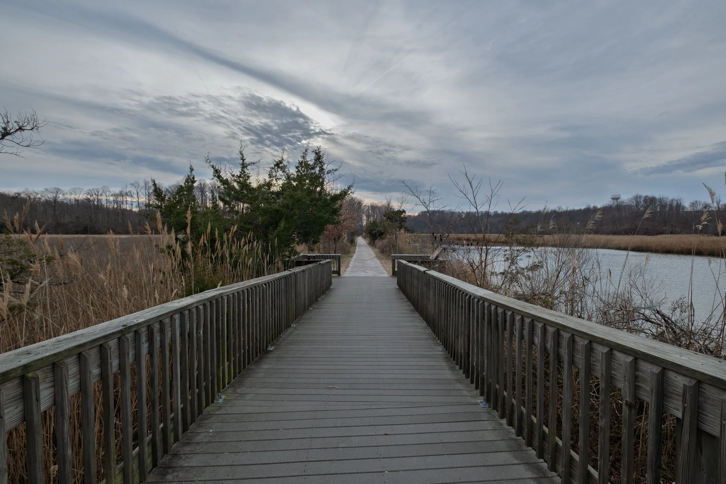DSCF1062.jpg