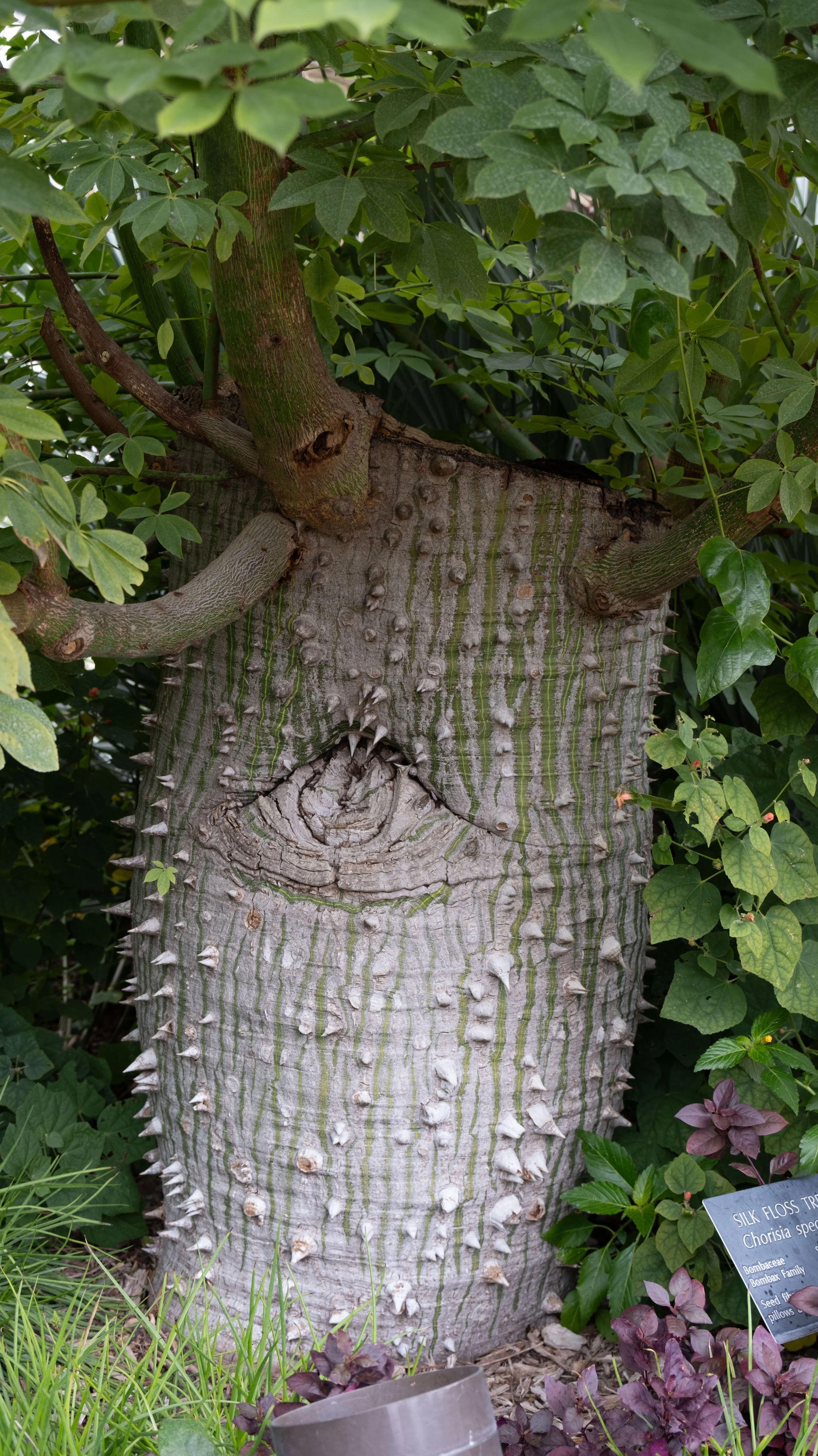 DSCF0154.jpg