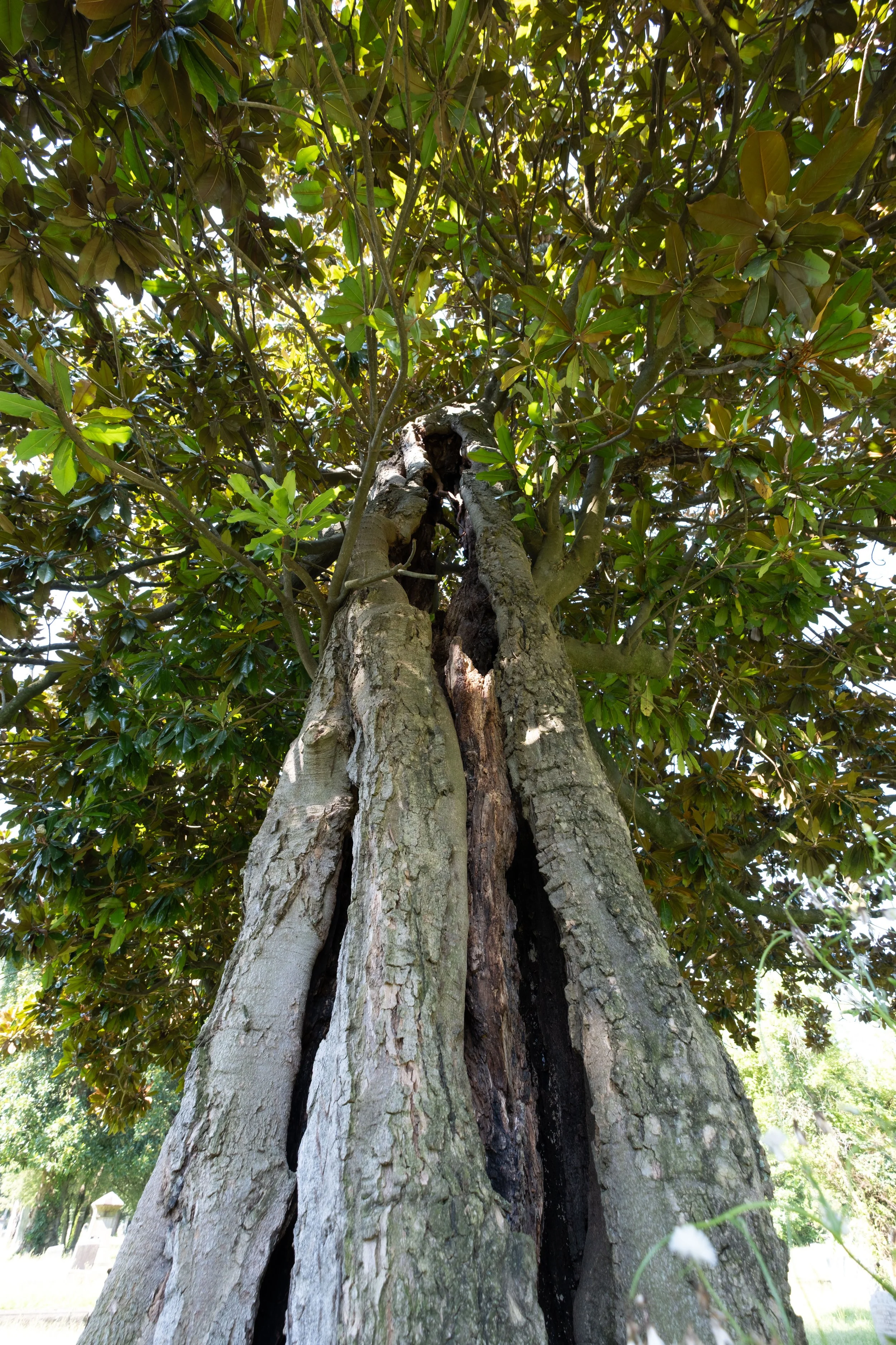 DSCF1496.jpg
